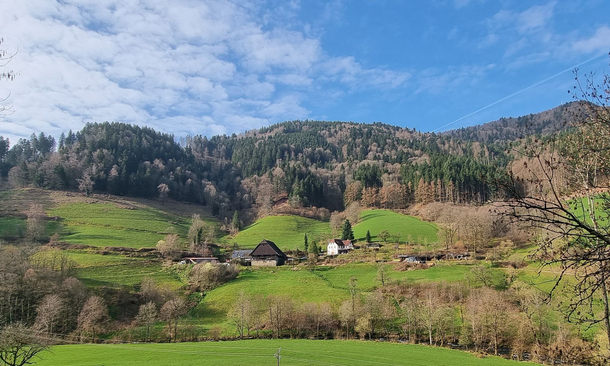 Vogtshof