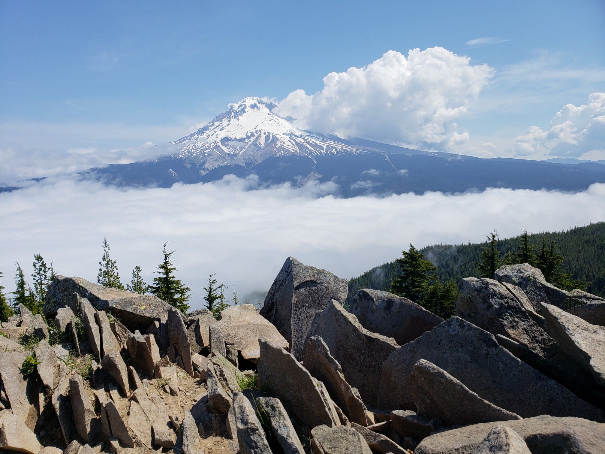 Snow-capped mountain peak rises above clouds, viewed from a rocky foreground. - Mirror Lake Trail #664
