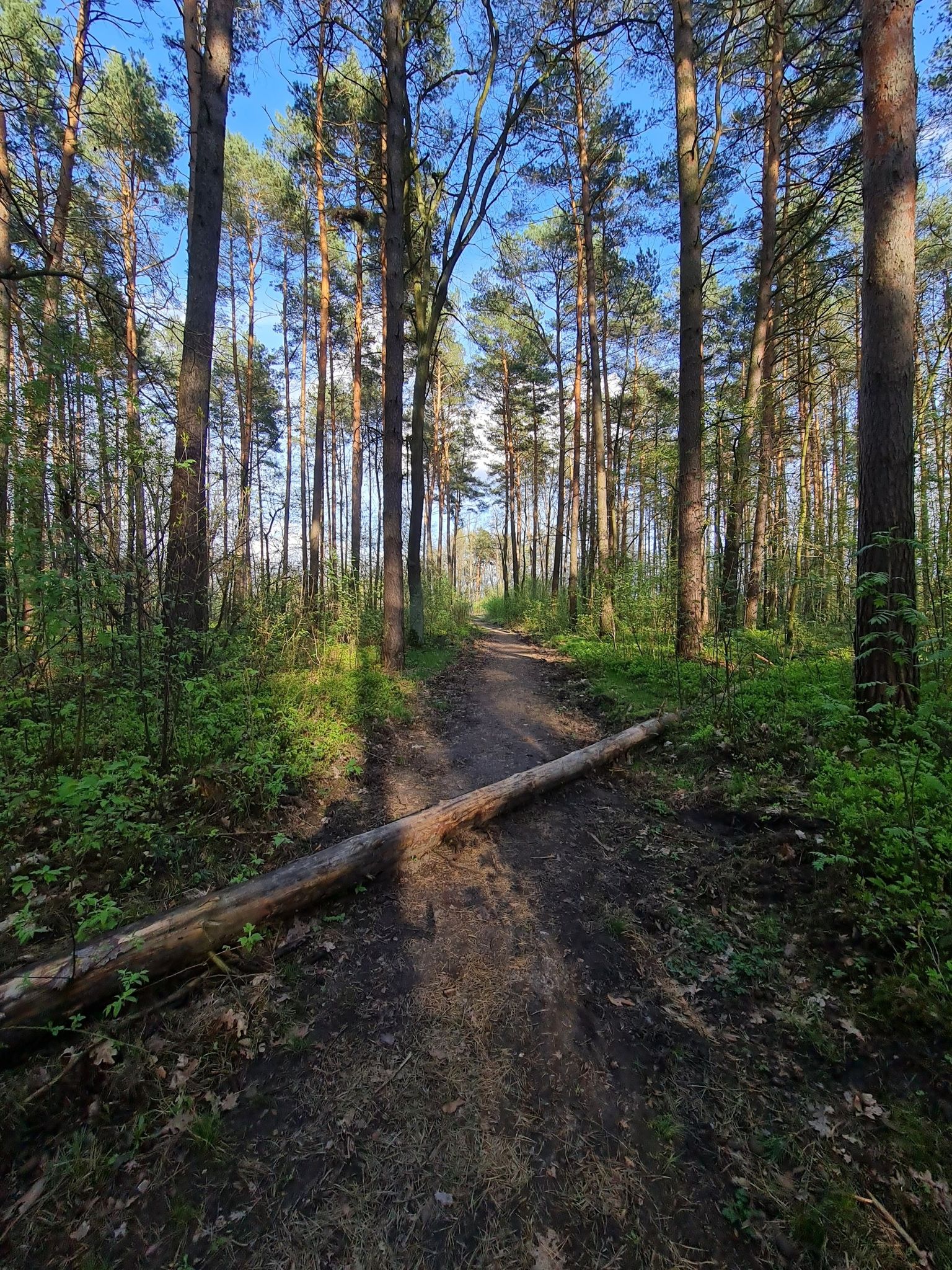 przeszkoda