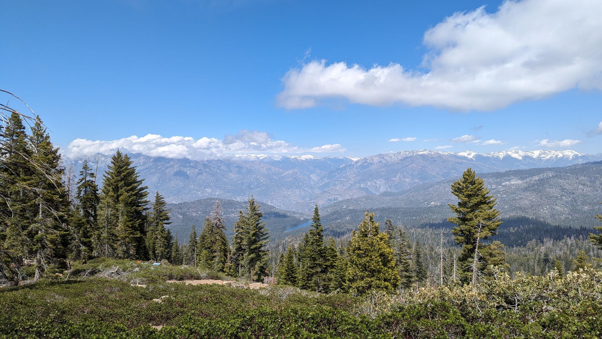 Forested mountains and snow-capped peaks under a bright blue sky with white clouds. - Panoramic Point