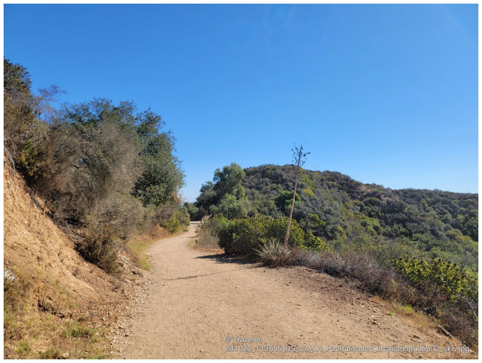 Wide dirt trail curves around a green, tree-covered hill under clear blue sky. - Inspiration Loop Trail