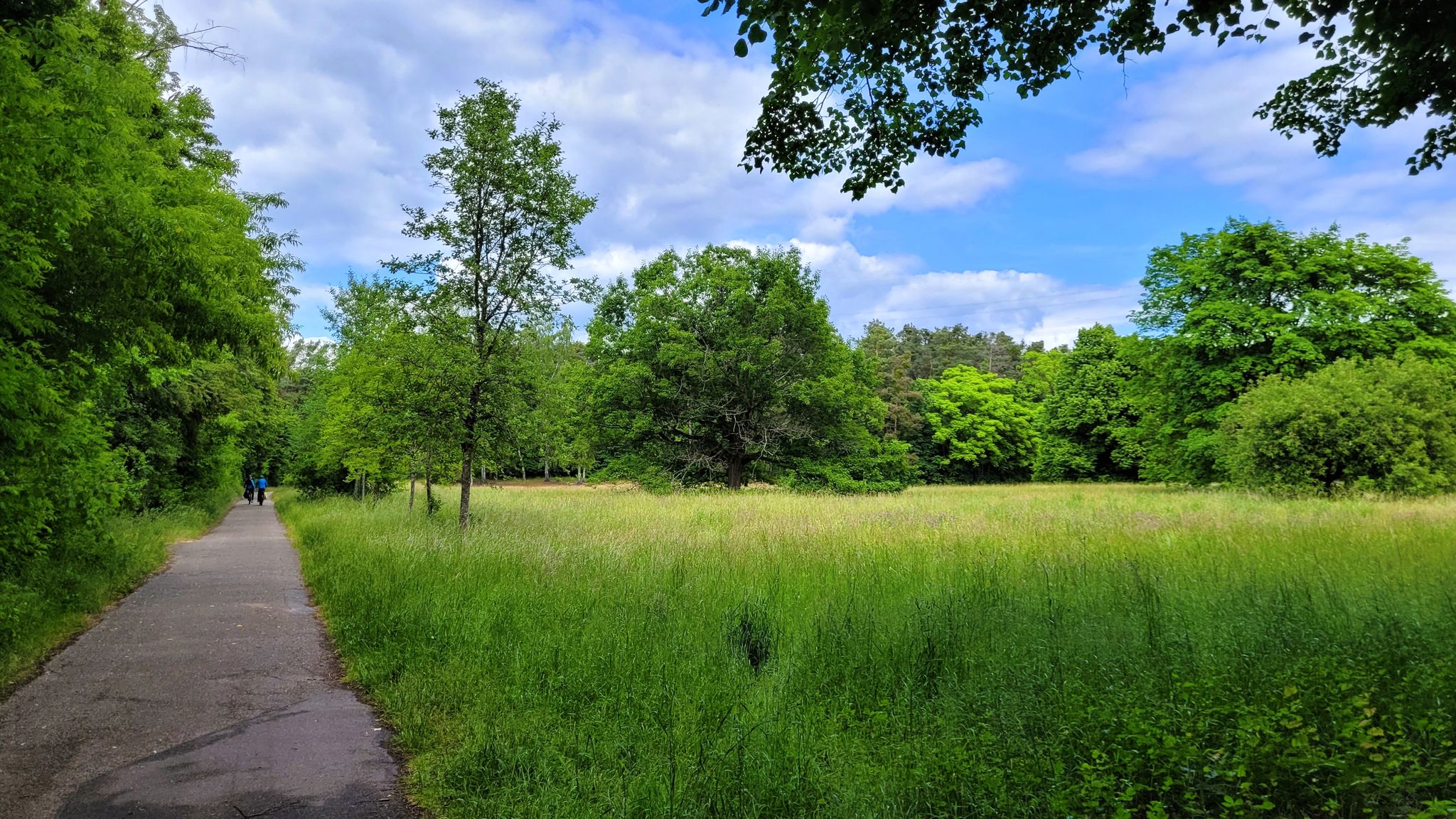 Dossenwaldweg