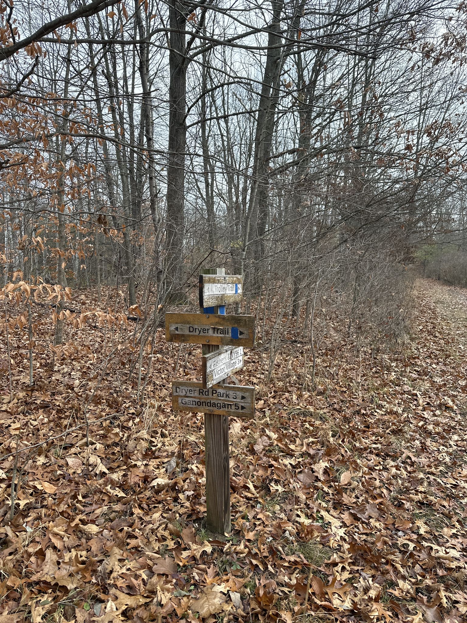 Wooden trail signpost surrounded by fallen brown leaves in a bare forest. - Lehigh Crossing Trolley Trail Loop