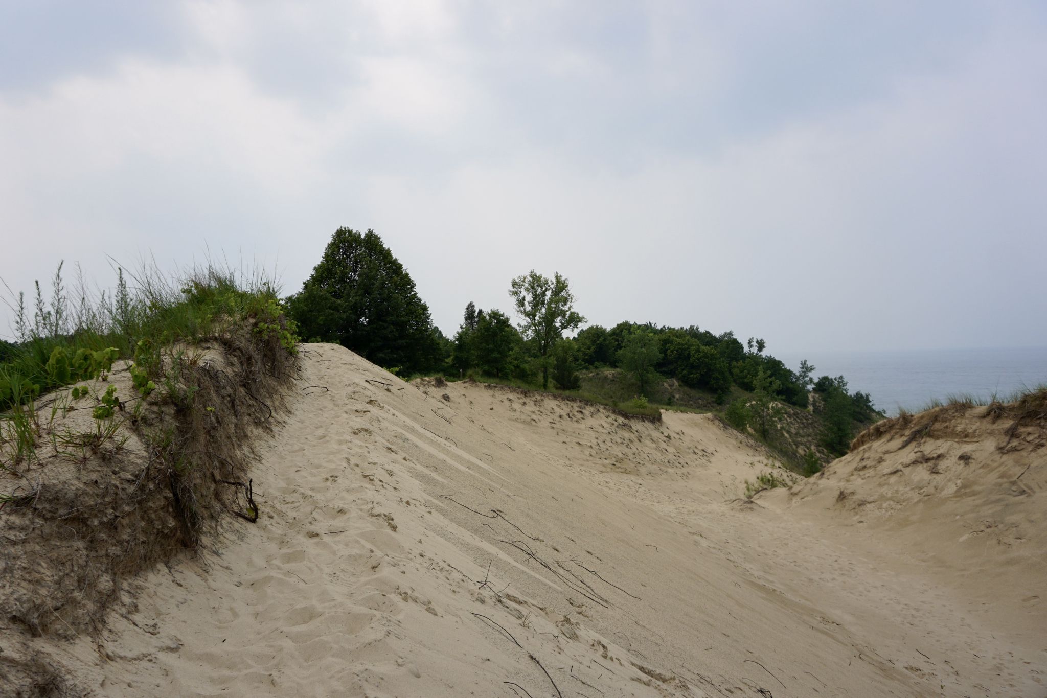 Sandy dunes with green vegetation under an overcast sky. - Trail 10