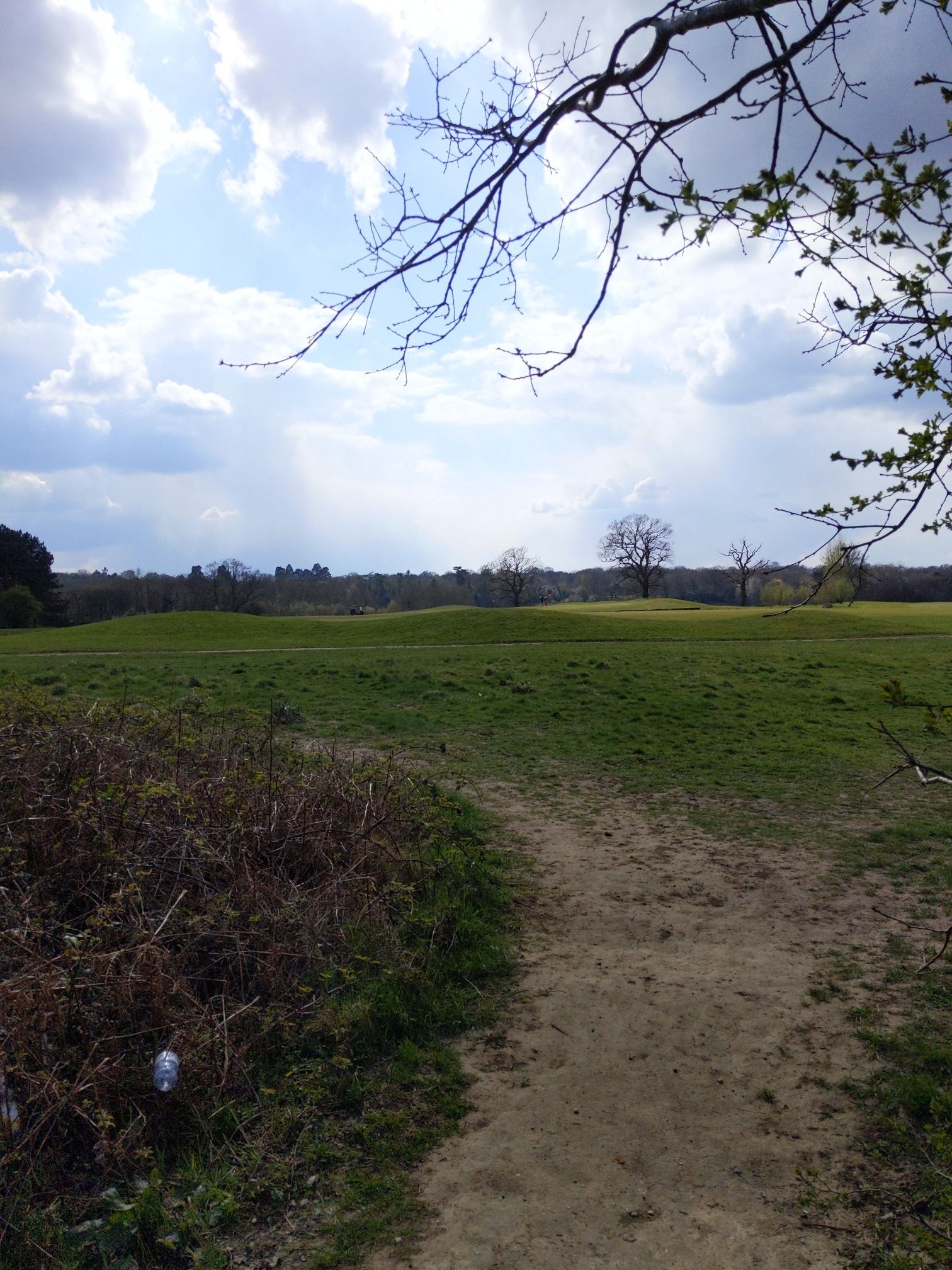 Sunlit golf course