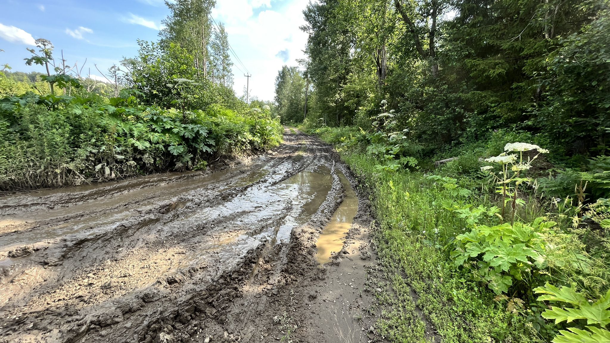 После дождей здесь в низине, обязательно будет грязь и месиво