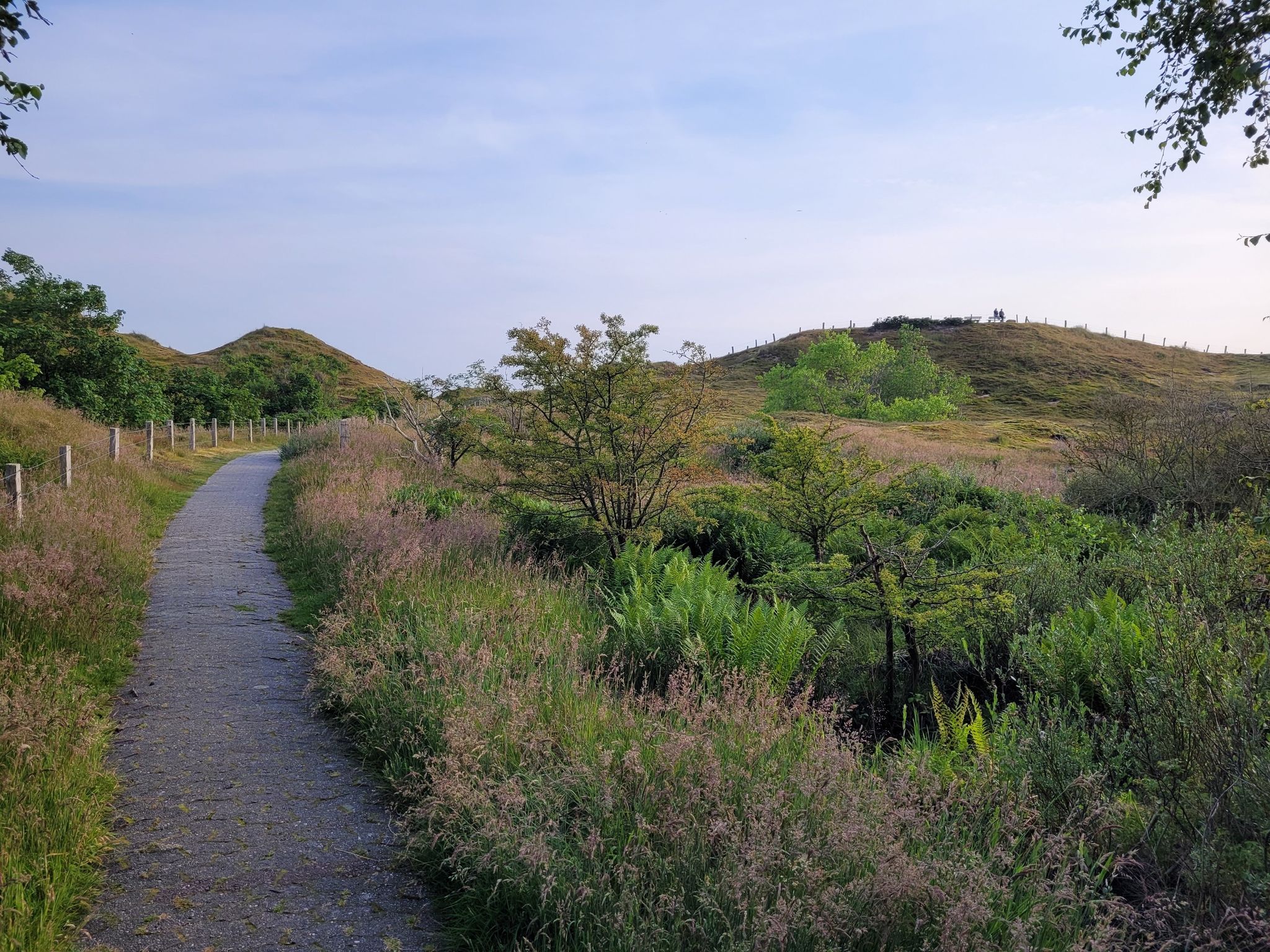 Die große Aussichtsdüne nun wieder rechts.