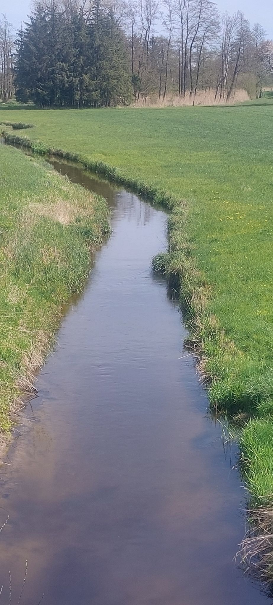 Die Eider an der B49 Buchenwalder Chaussee
