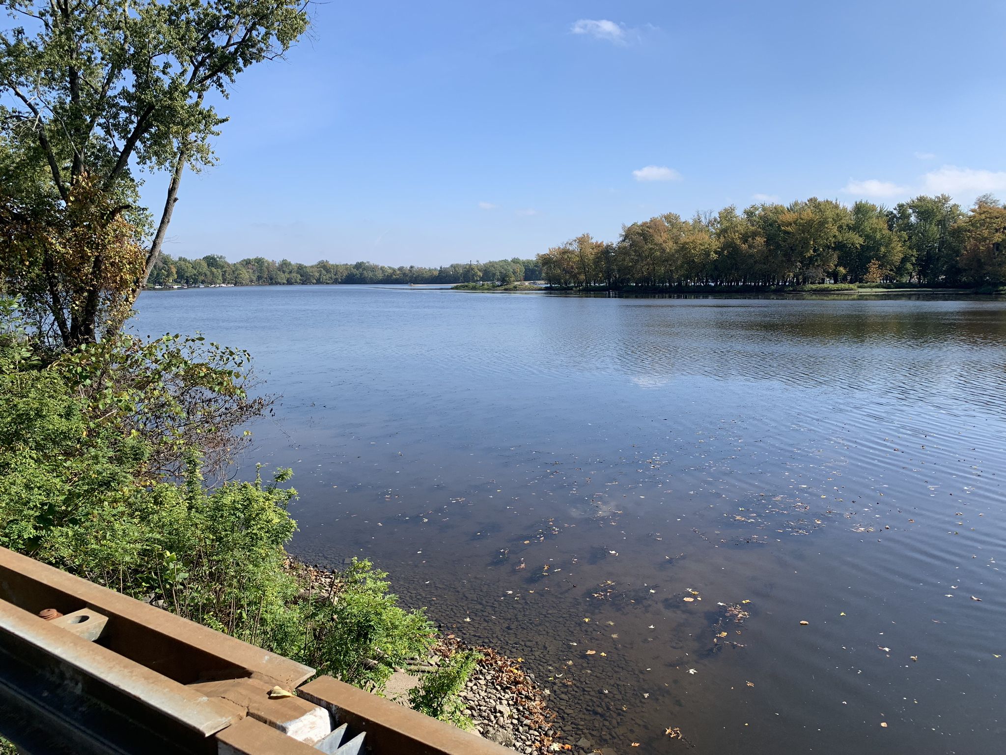 Wide river with forested banks under a clear sky, seen from behind a guardrail. - Arcadia Wildlife Sanctuary – Main Street loop from Northampton