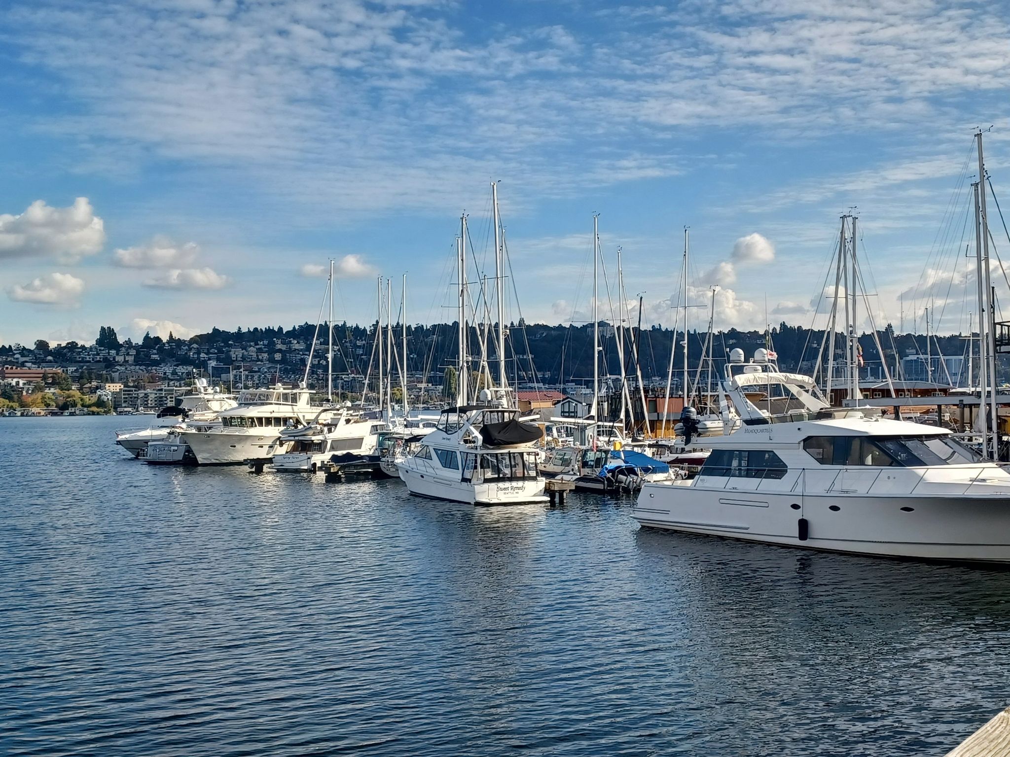 Numerous boats and yachts docked in a marina under a partly cloudy sky. - Cheshiahud Lake Union Loop