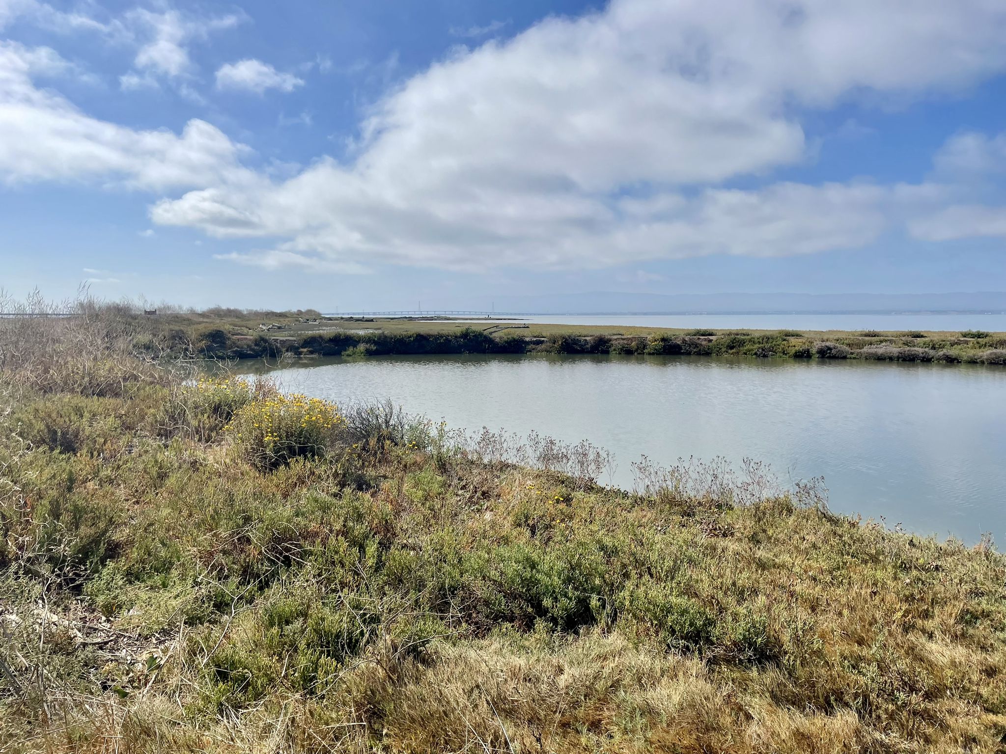 Calm water body with grassy banks under a partly cloudy sky. - Alameda Creek Trail – Alameda Creek Trail to the Bay loop from Union City