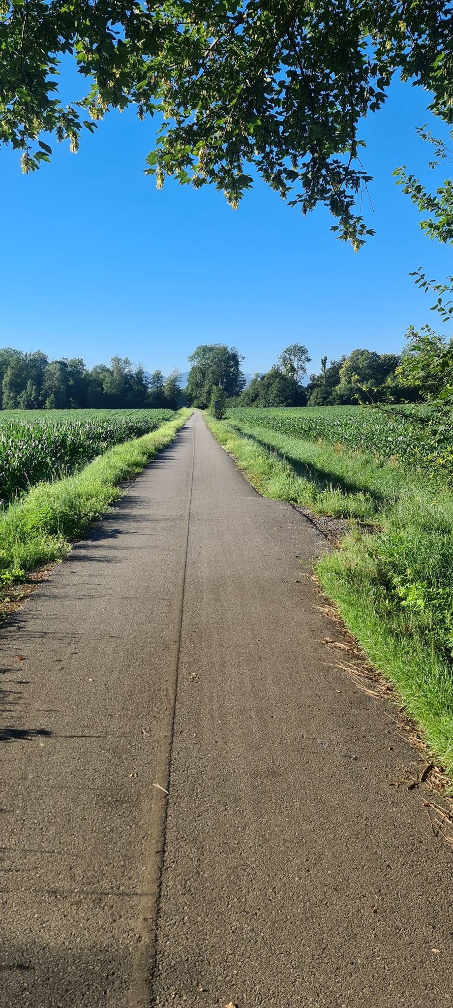 R12 Richtung Bad Hall