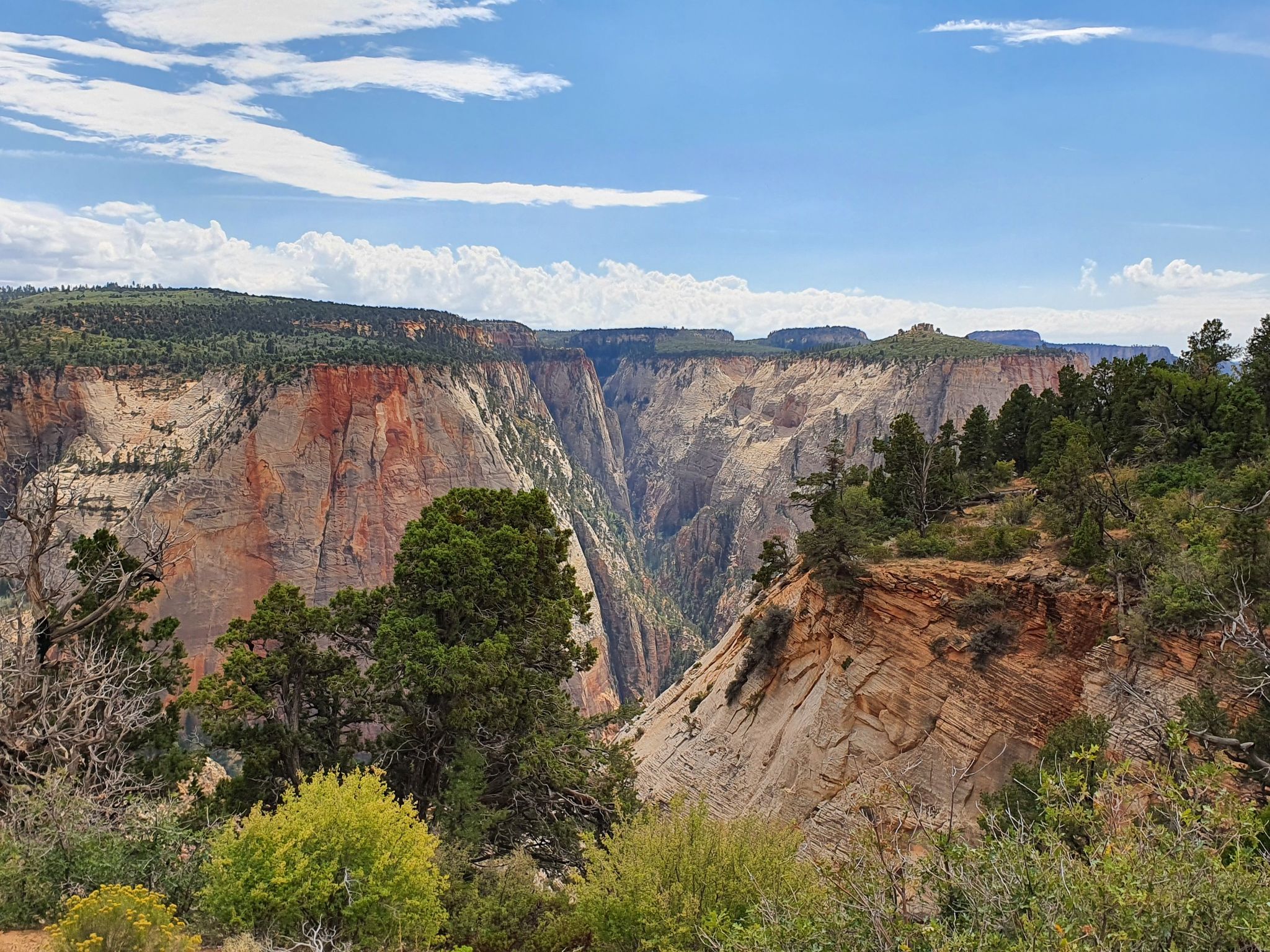 Deep canyon with colorful rock walls and green trees under a partly cloudy sky. - Observation Point via Stave Spring Trailhead