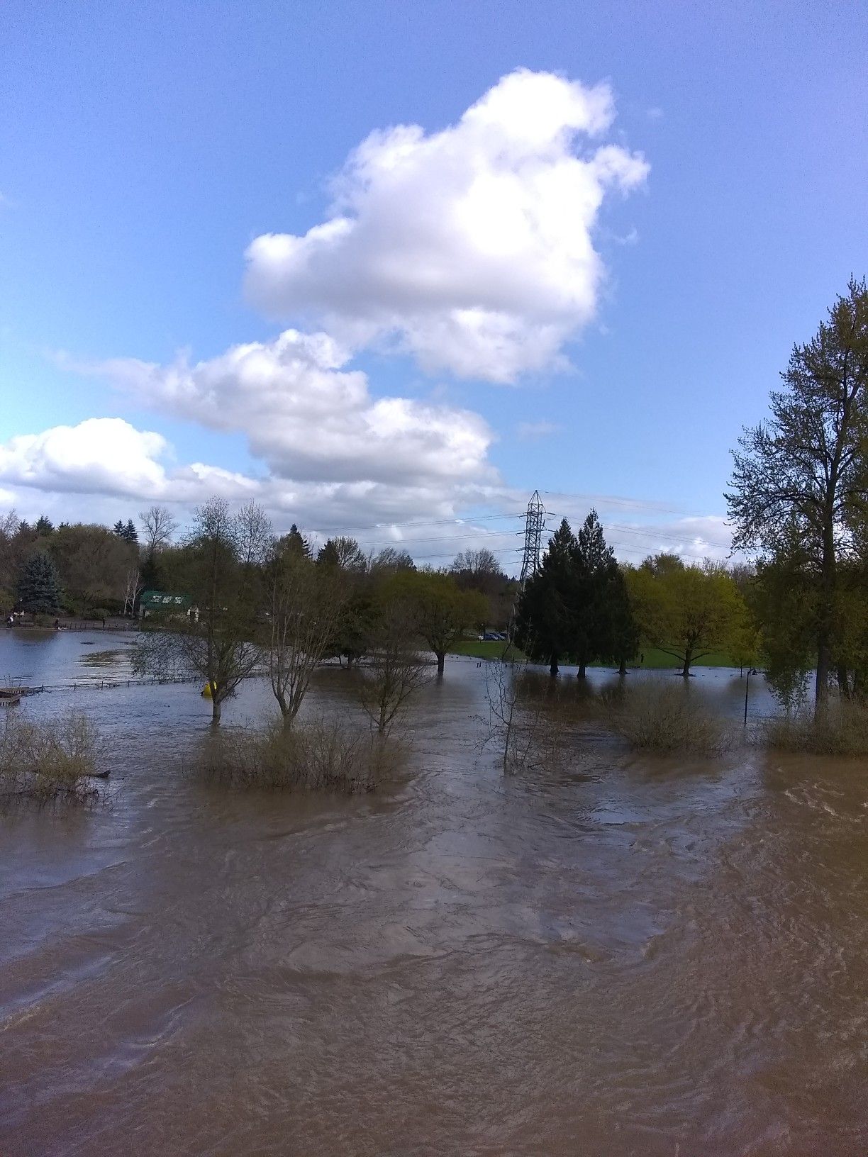 Wide area of brown floodwaters with partially submerged trees under a cloudy sky. - Ruth Bascom Path loop