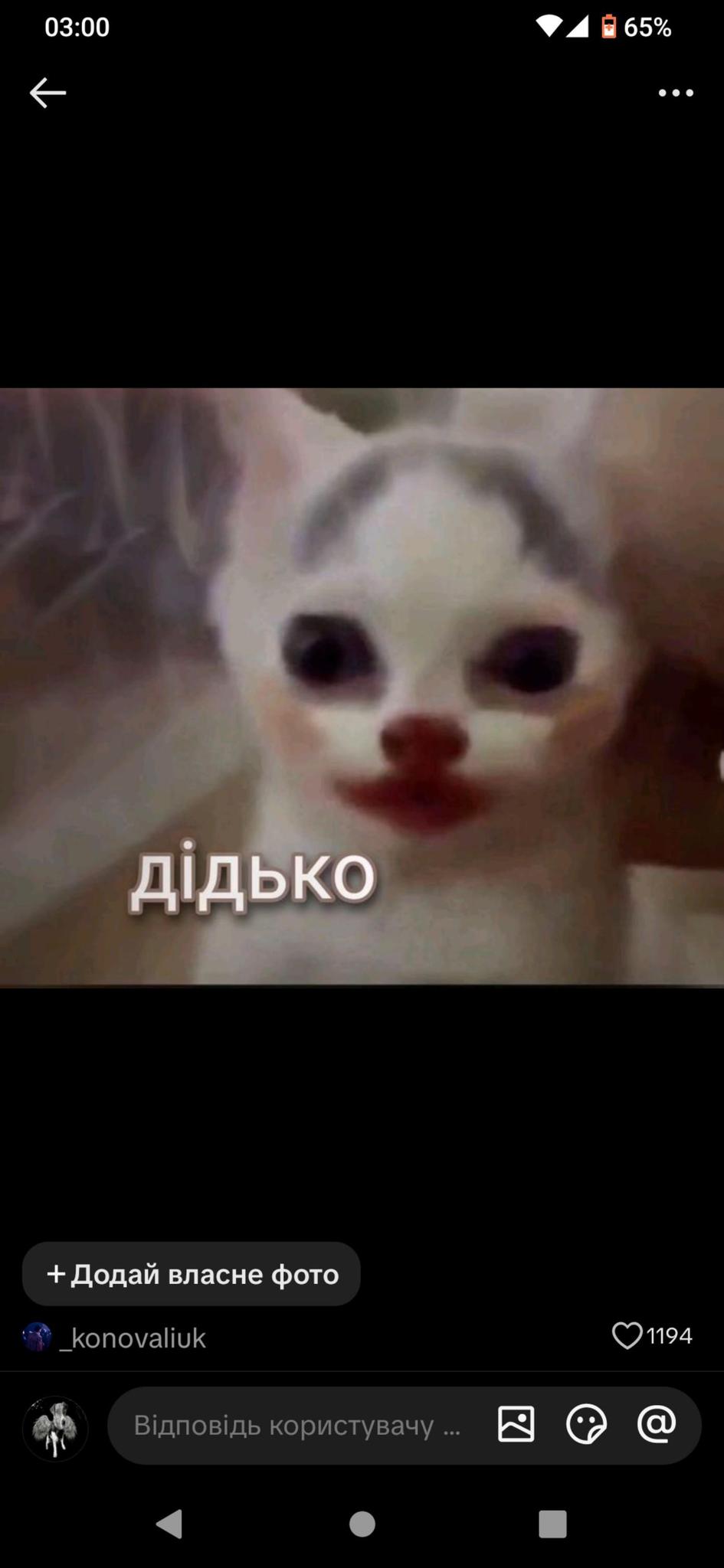 user avatar