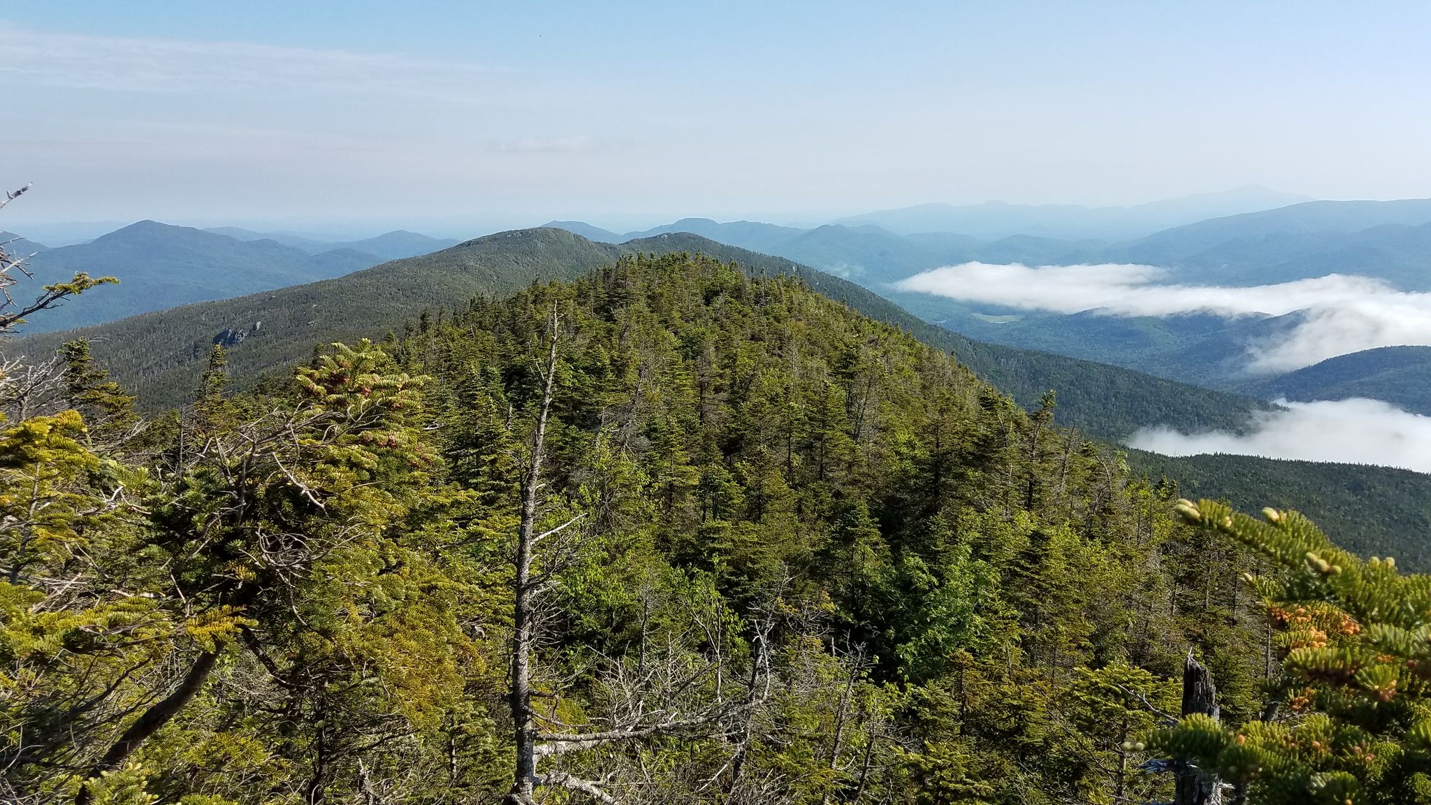 Forested mountain peaks under a clear sky, with clouds in distant valleys. - Santanoni Range Trail