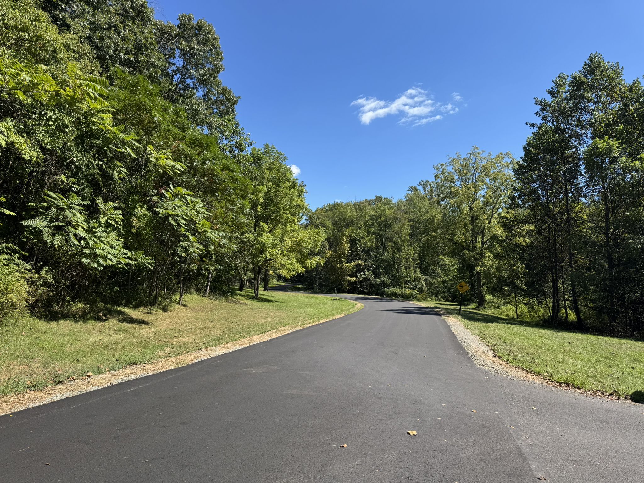 Paved road winding through a lush green forest on a sunny day. - Horse-Shoe, Boone and Lenape Loop