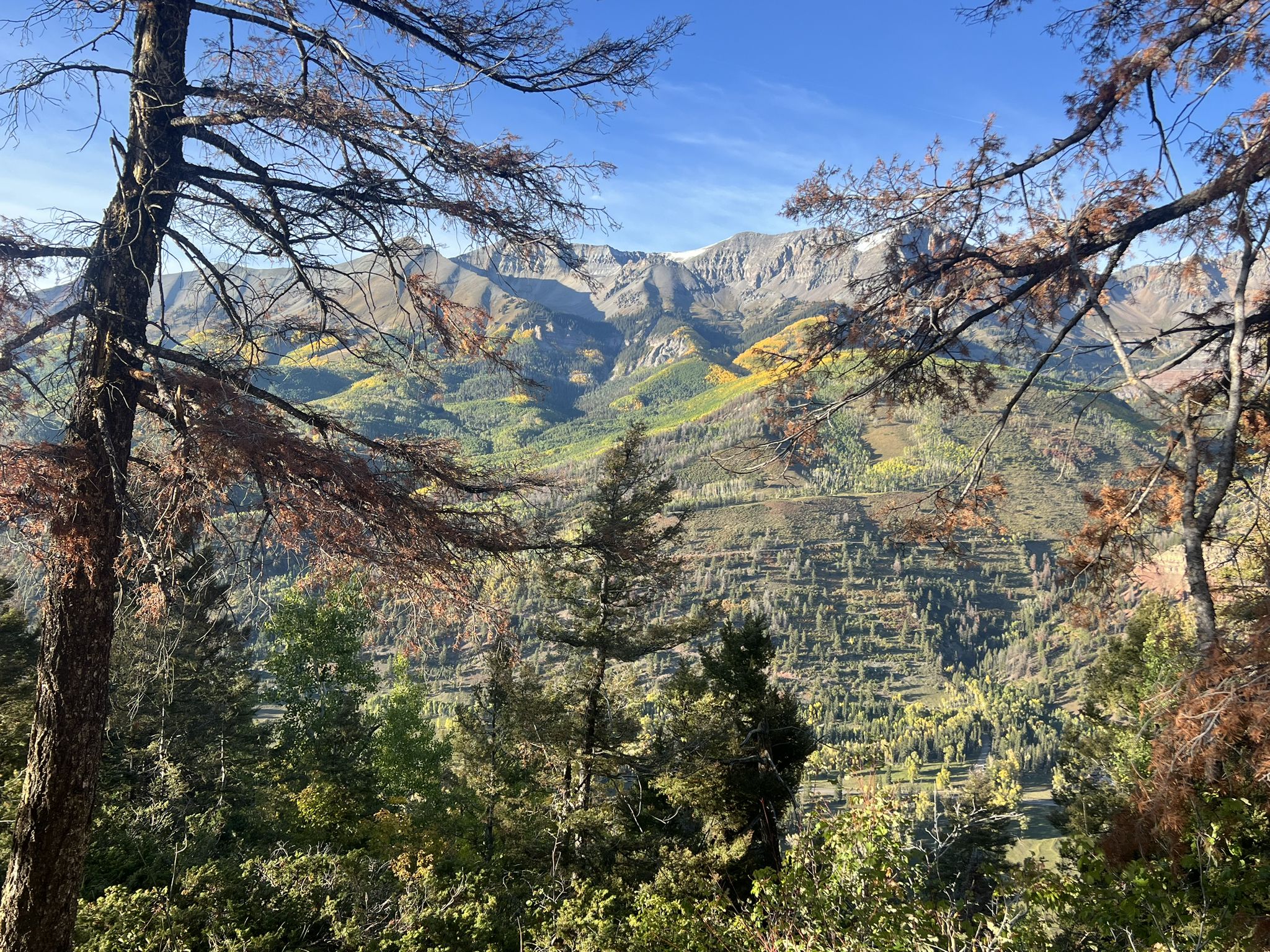 Mountain range with colorful autumn trees under a clear blue sky. - Coonskin Mountain and Valley Floor Loop
