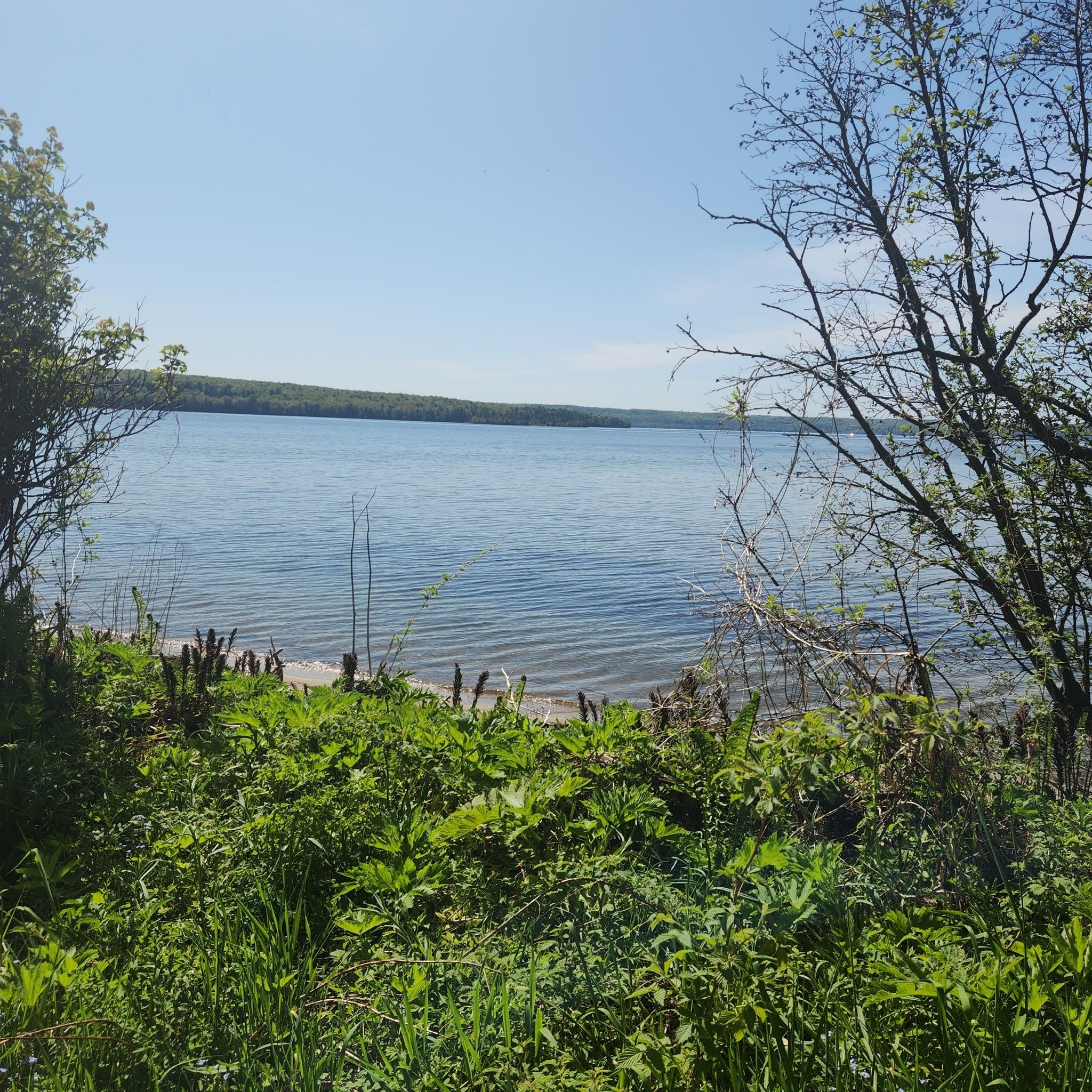 Sunny lake view through lush green foliage and trees. - Grand Island Loop Trail