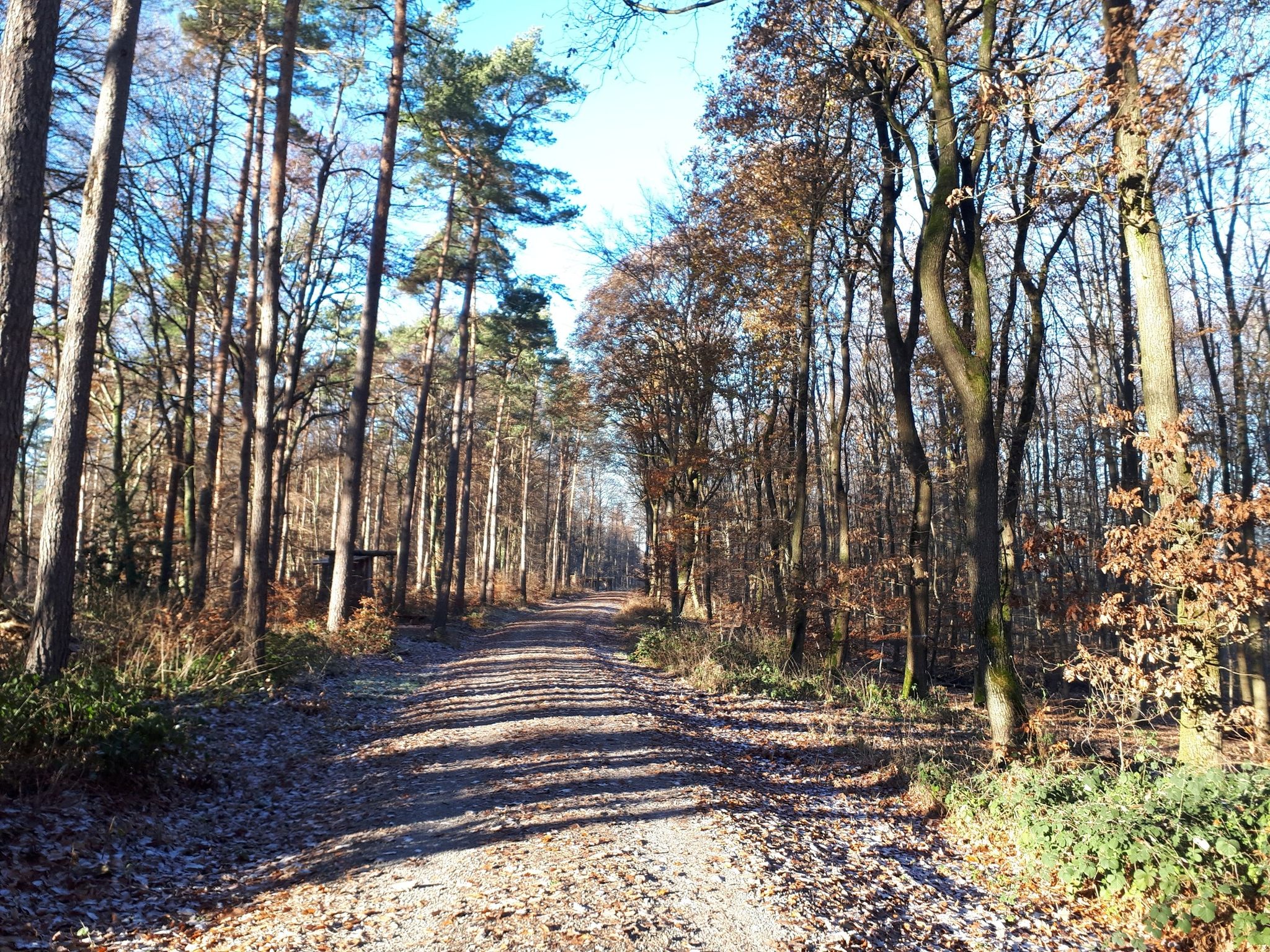 Auf dem Roswithaweg