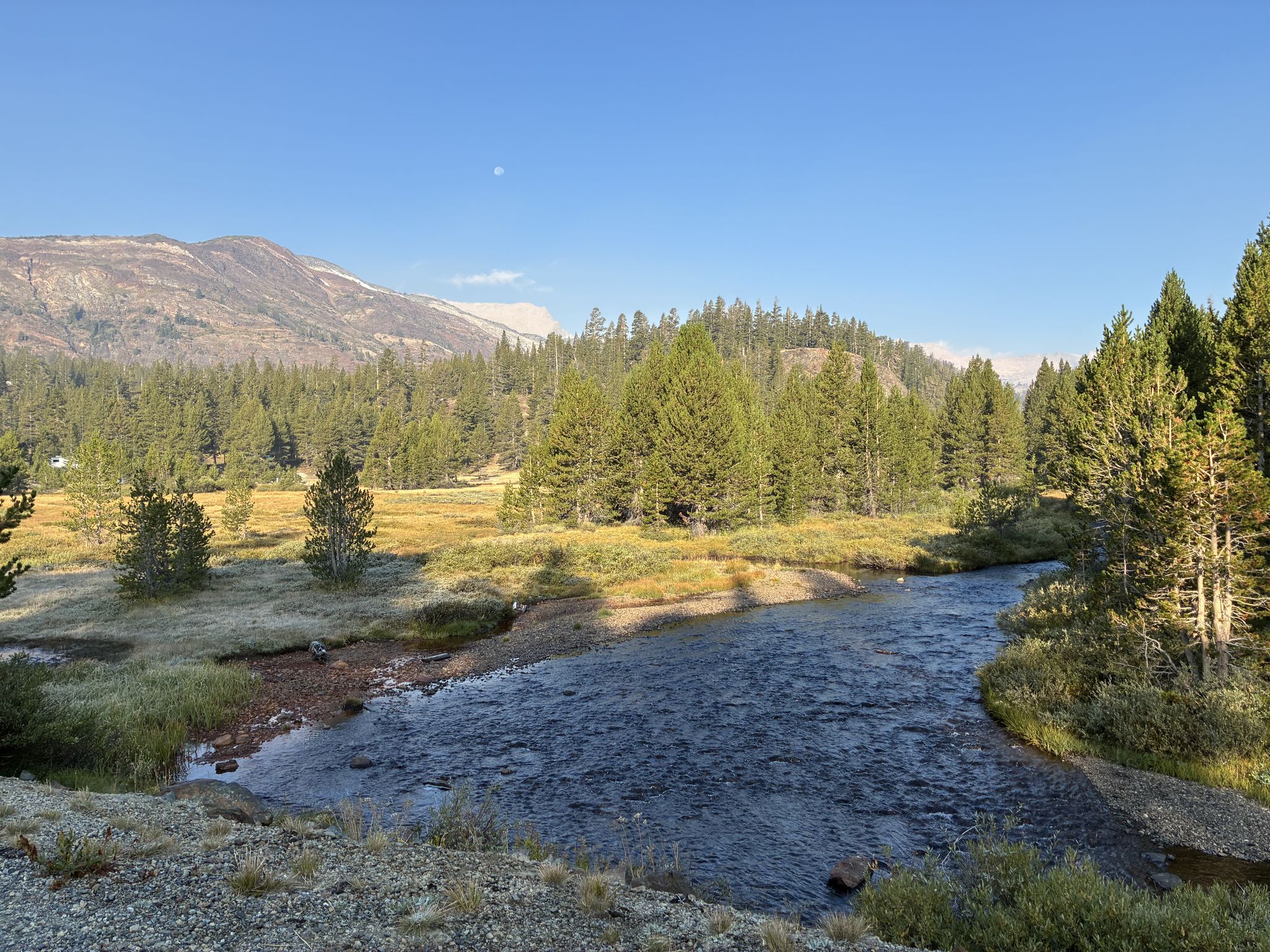 Winding river through a frosted meadow and dense pine forest under clear sky. - Maul Lake via Mine Creek Trail