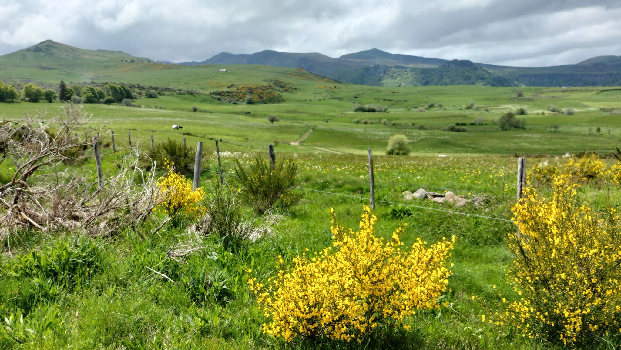 Grosse Weiten - der Berg Puy de Sancy leider in den Wolken