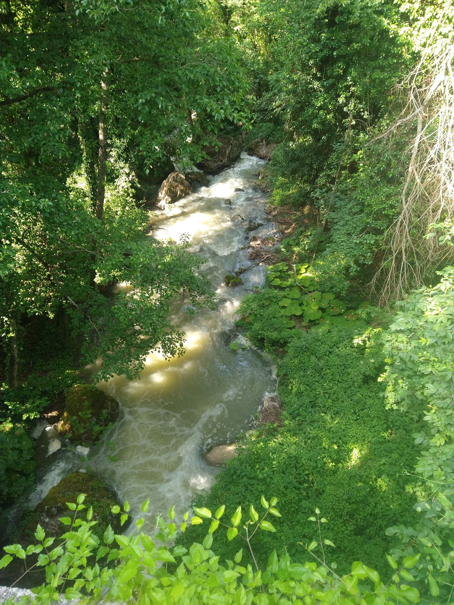 Torrente Ficocchia