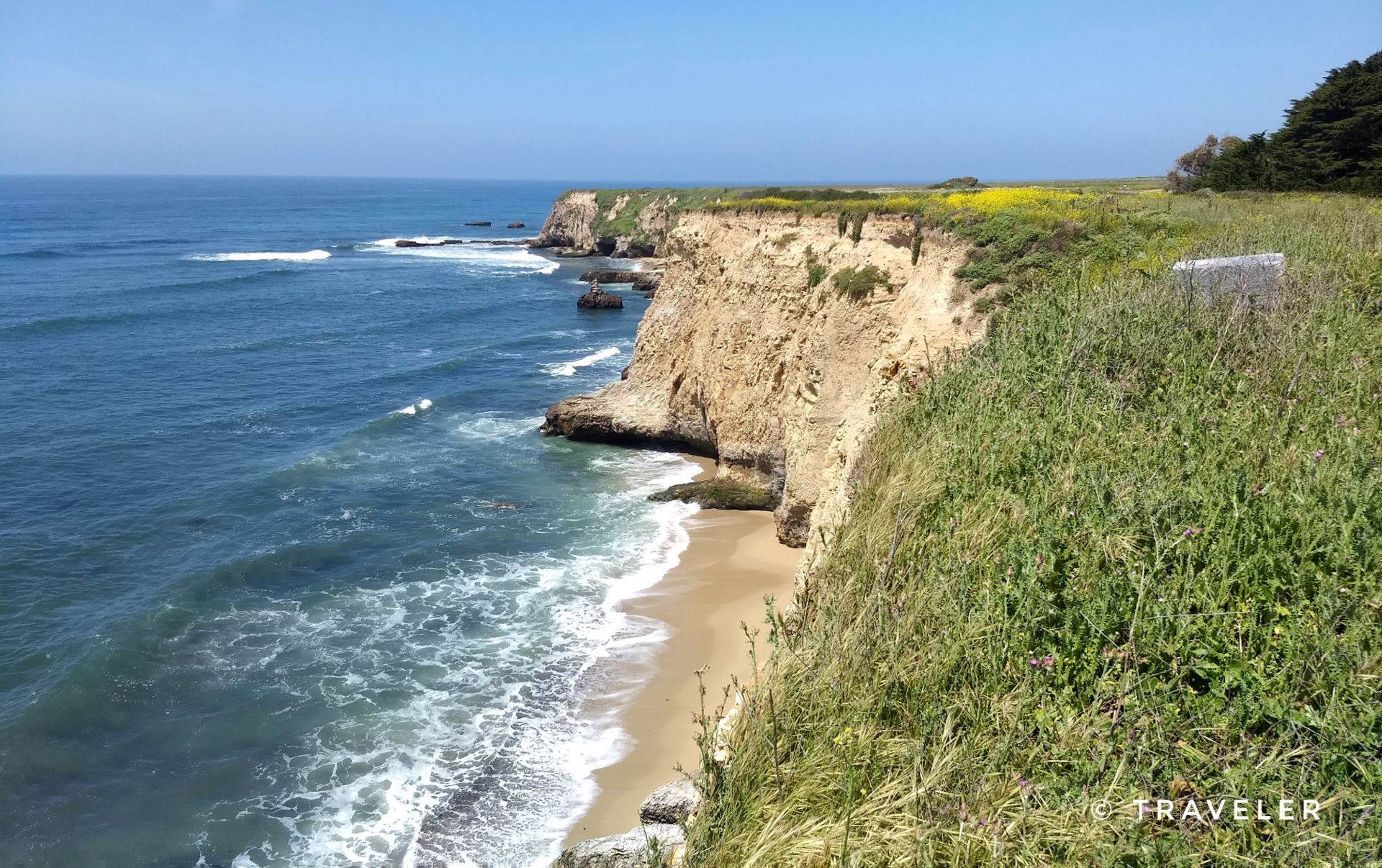 Sunny view of steep grassy cliffs overlooking a sandy beach and blue ocean. - Davenport Beach loop
