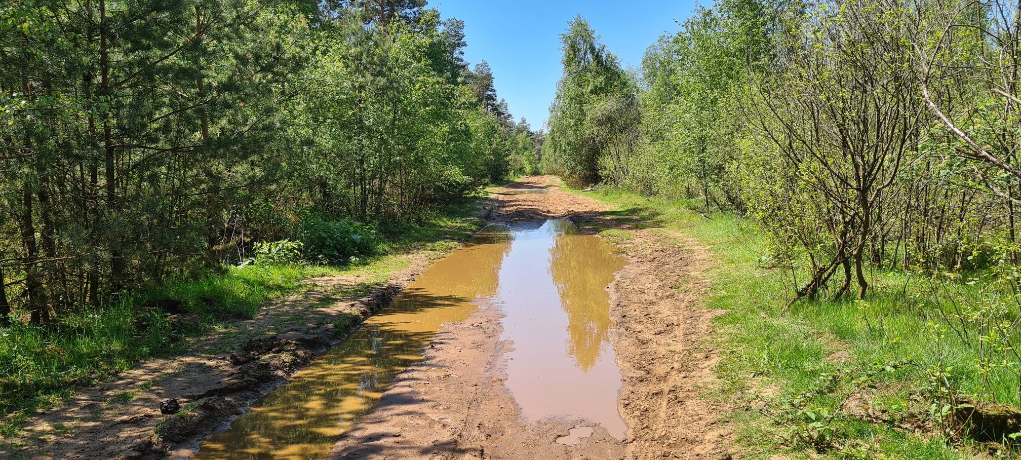 ein sehr..."rustikaler" Weg...