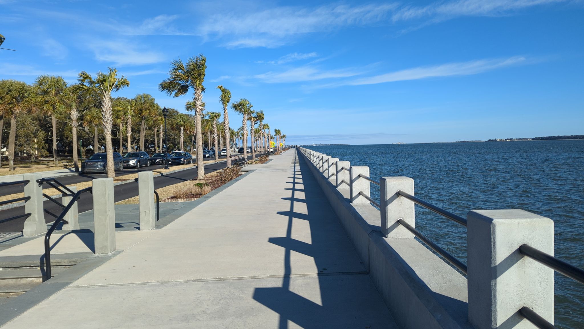 Sunny waterfront promenade with palm trees and ocean under a clear blue sky. - East Coast Greenway Trail