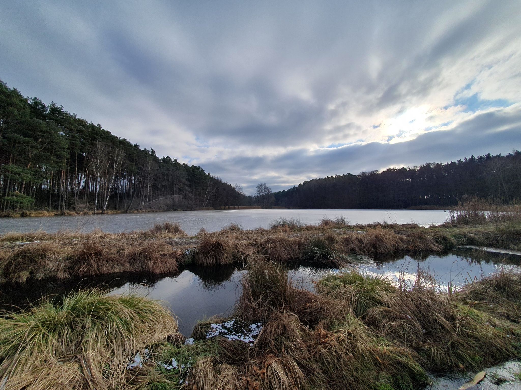 Teiche im Charlottenhofer Weihergebiet
