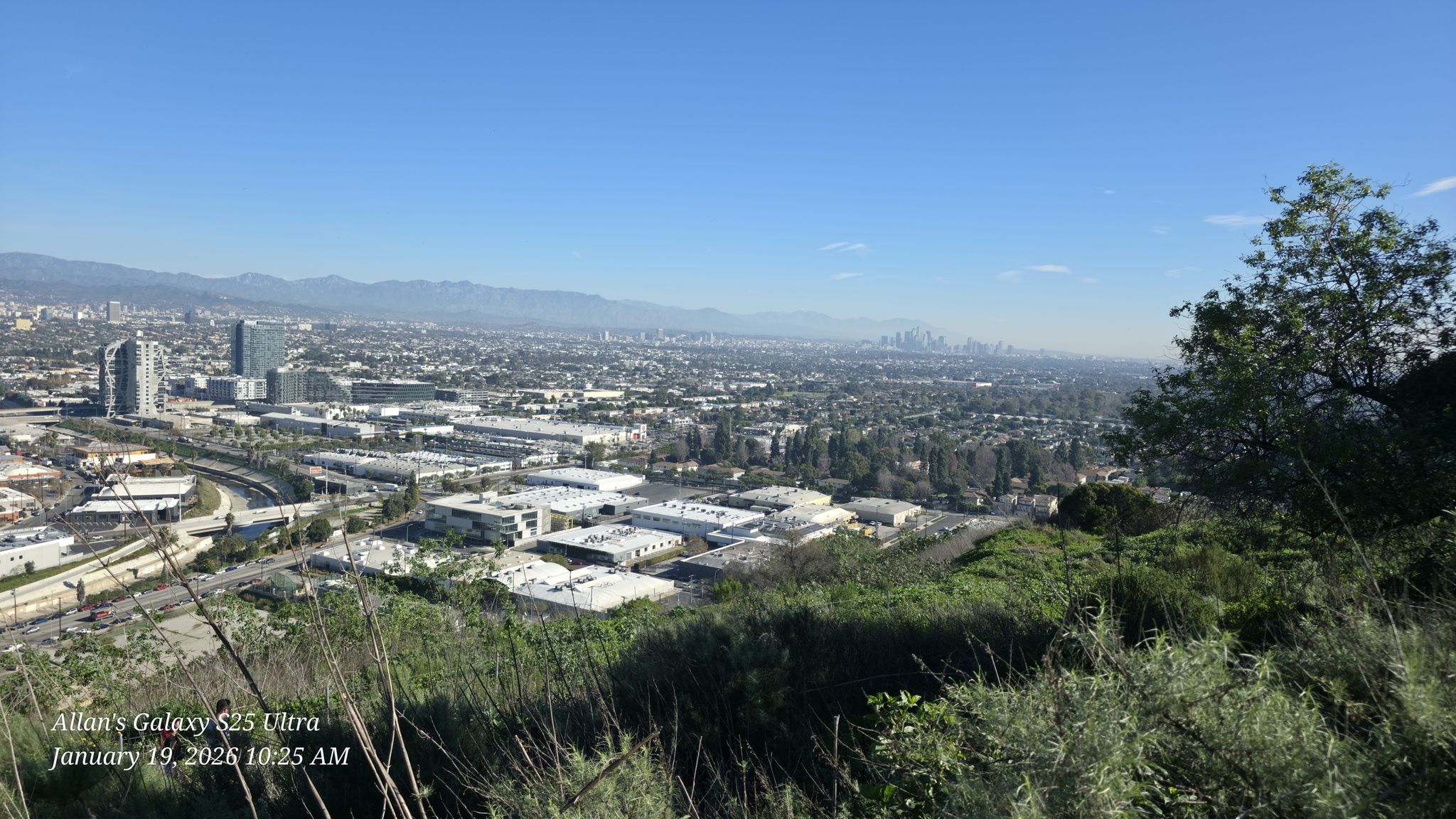 A panoramic view of a sprawling city from a green hillside on a clear day. - Baldwin Hills loop from NPR West