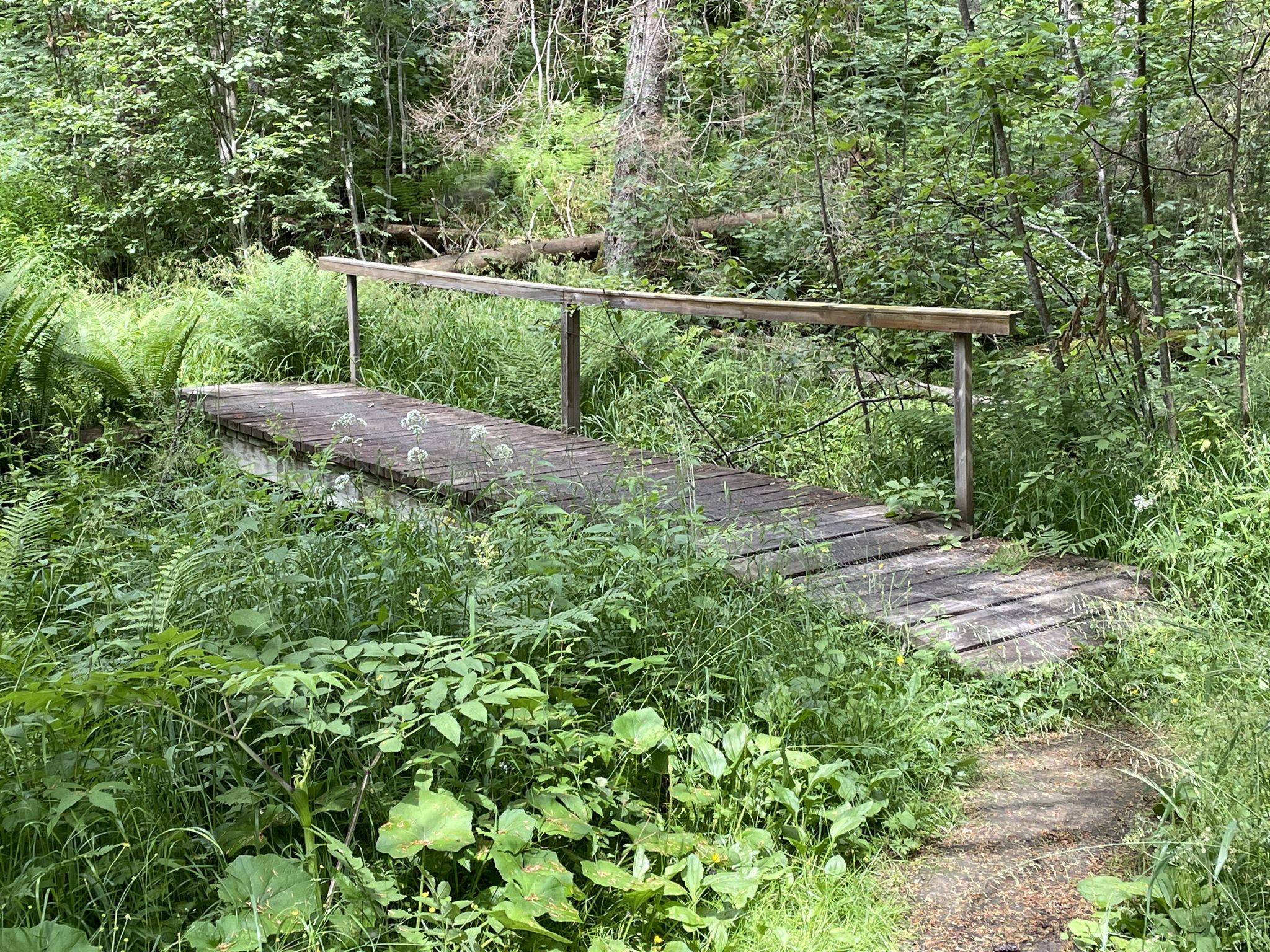 Brücke