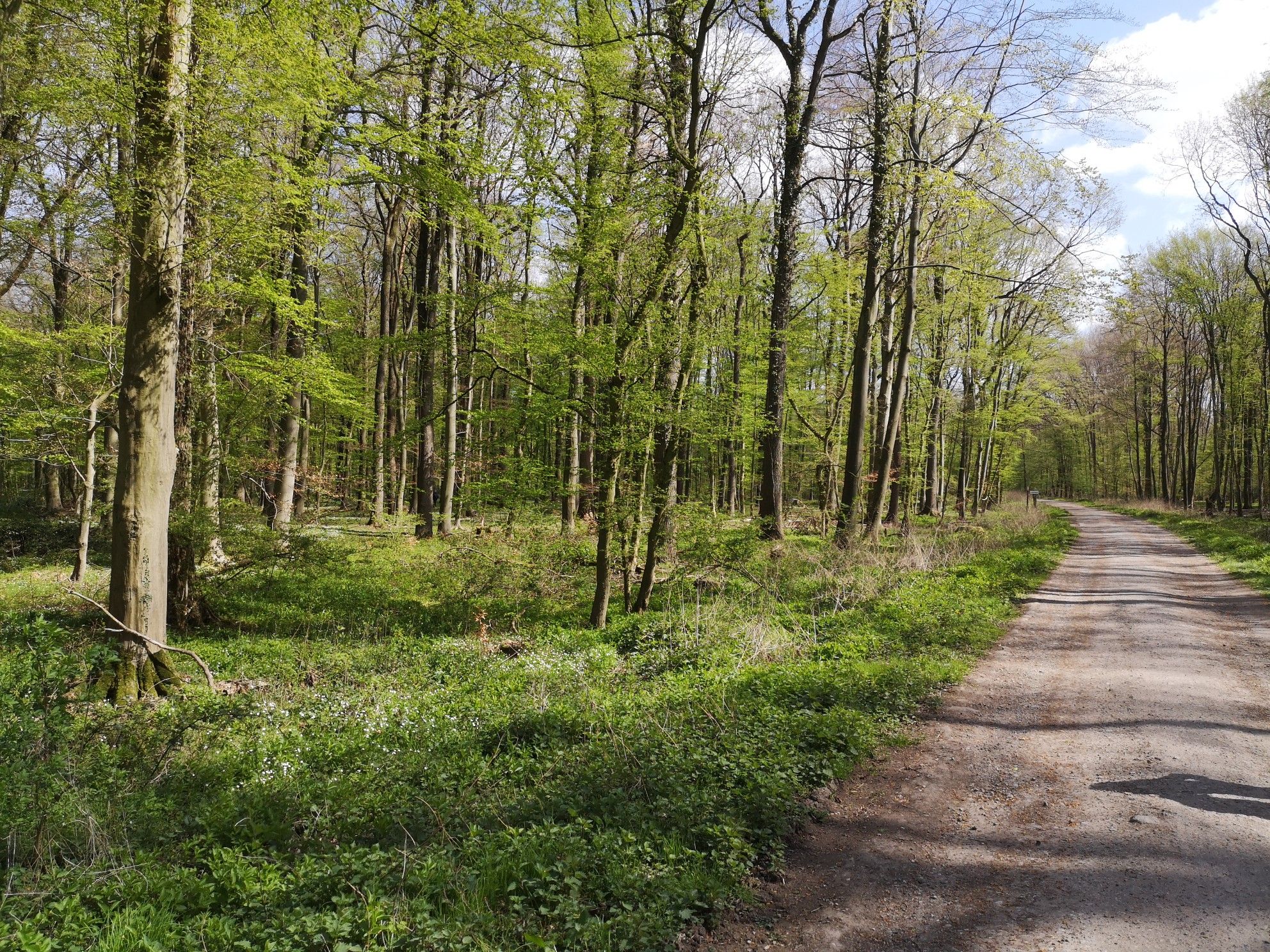 Rabenstein weg

