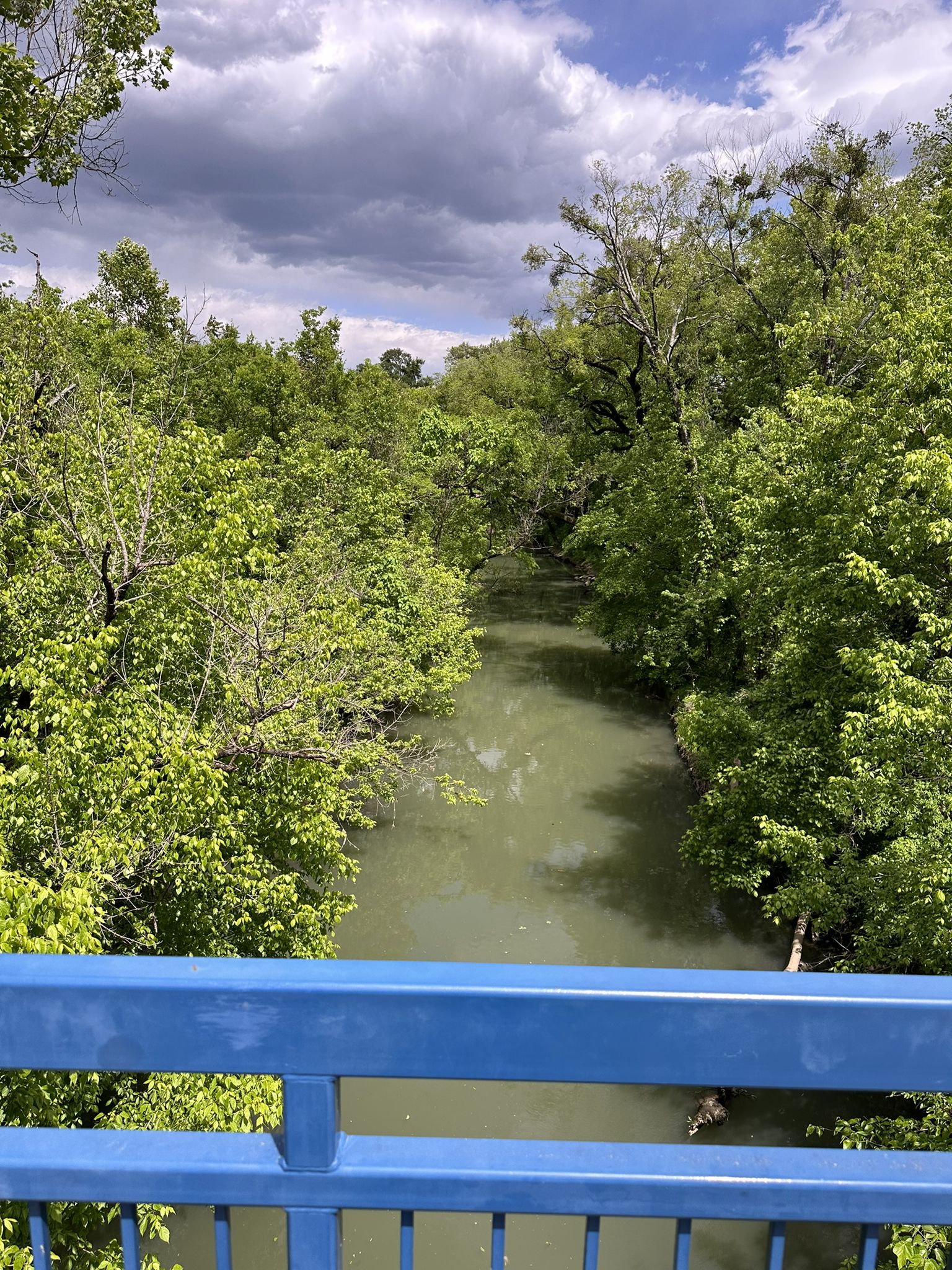 A narrow river flows through dense green trees under a cloudy sky. - Tennessee Riverwalk and Lookout Mountain Loop