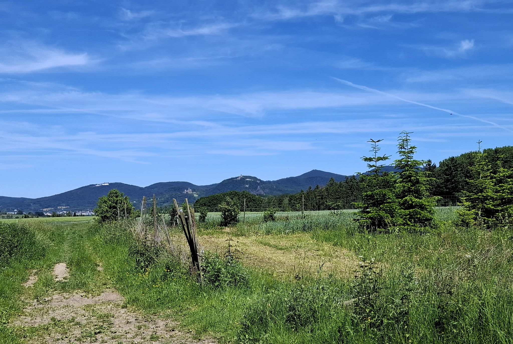 Schöne Aussicht!