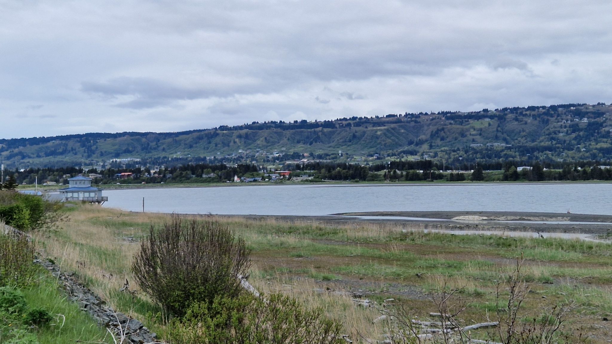 Overcast view of a wide river or bay with a town and green hills. - Homer Spit Trail