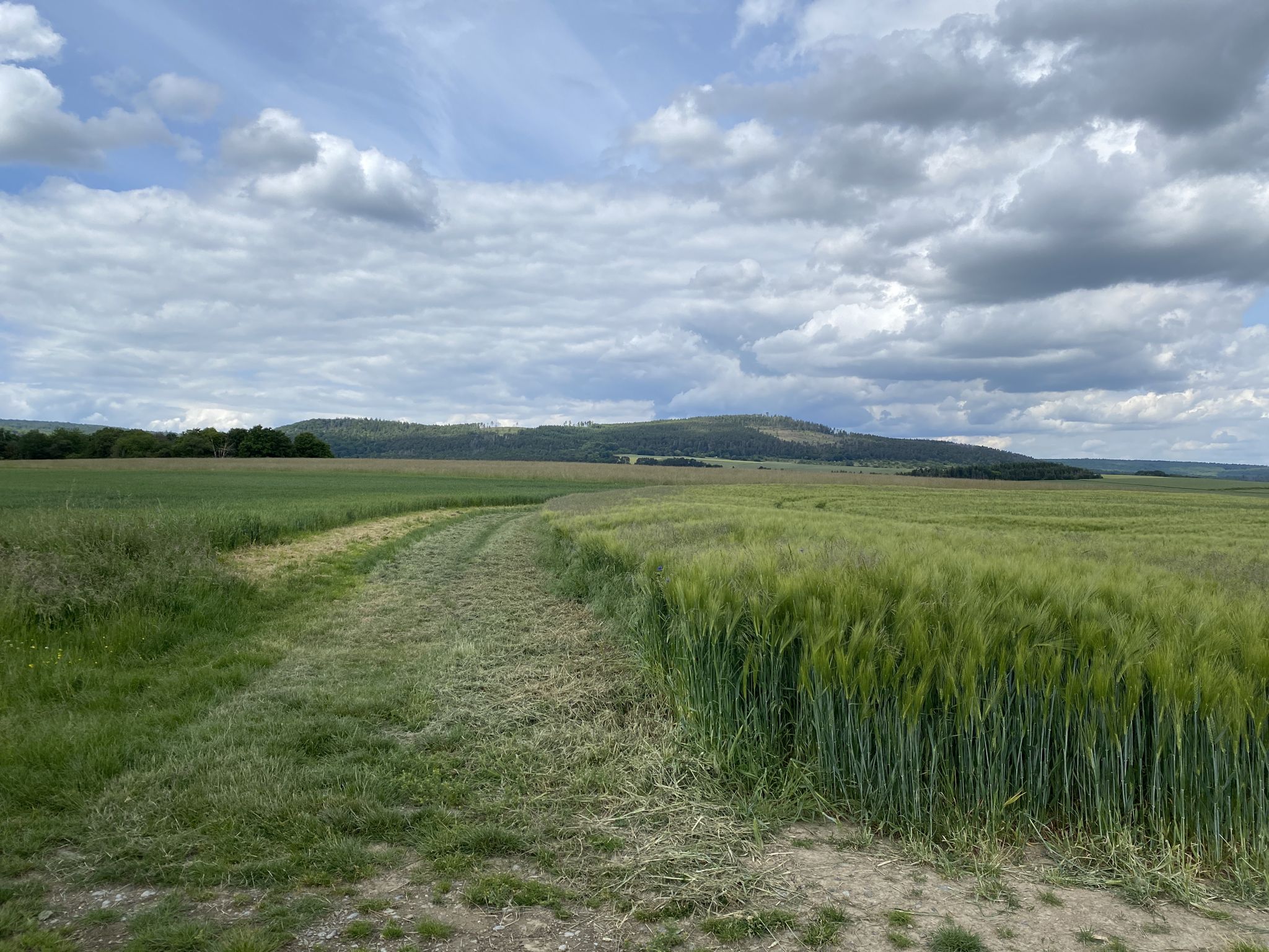 Panoramaweg /