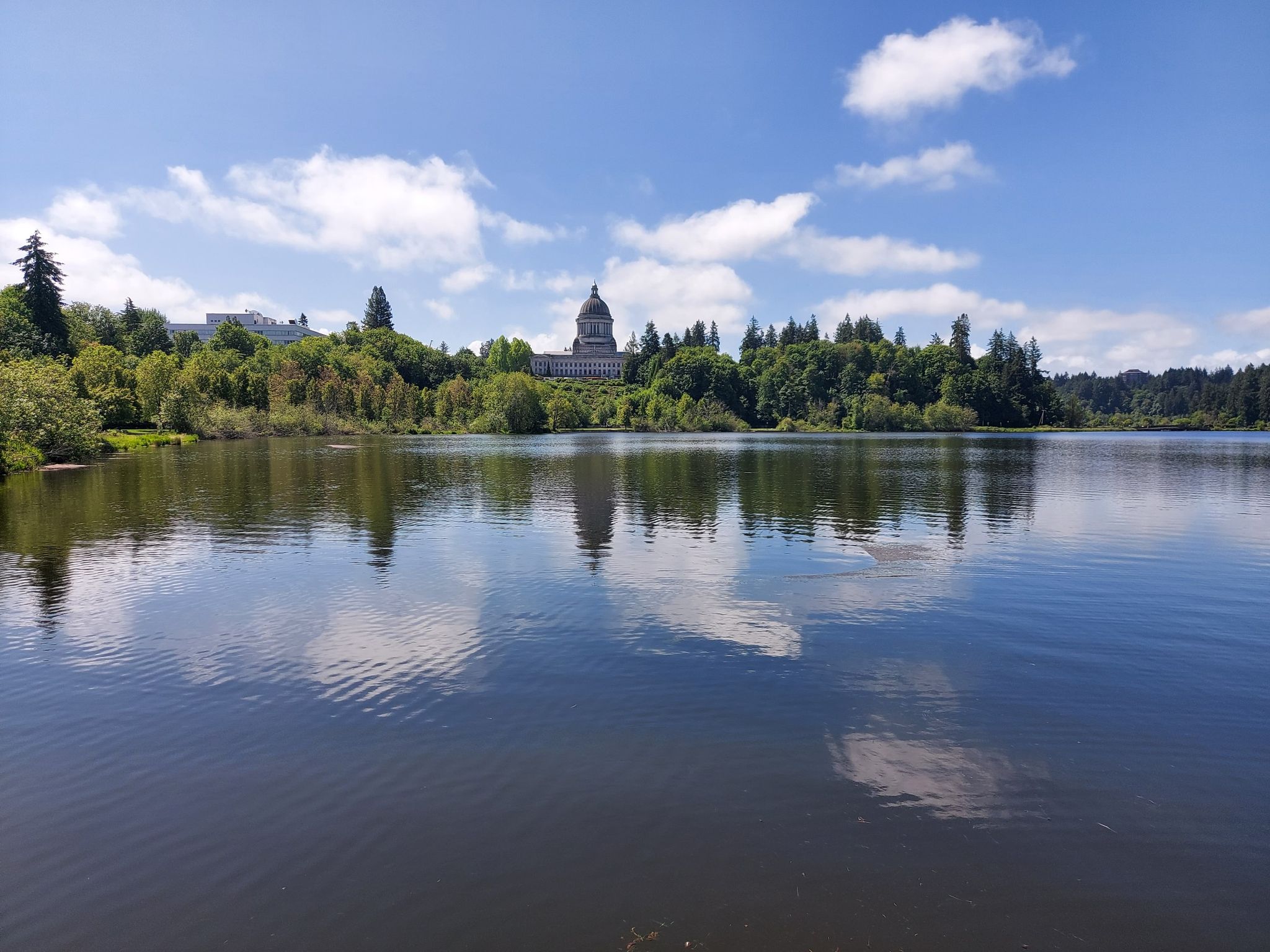 A large lake reflects a domed building and clouds on a sunny day. - Capitol Lake loop from Olympia
