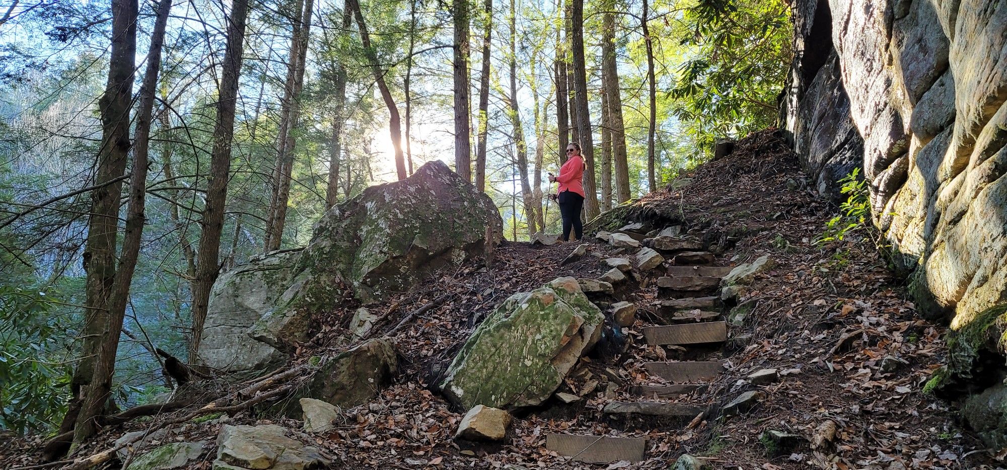 Person in orange jacket standing on a rocky forest path with sunlit trees. - Bridge Trail to Lilly Bluff