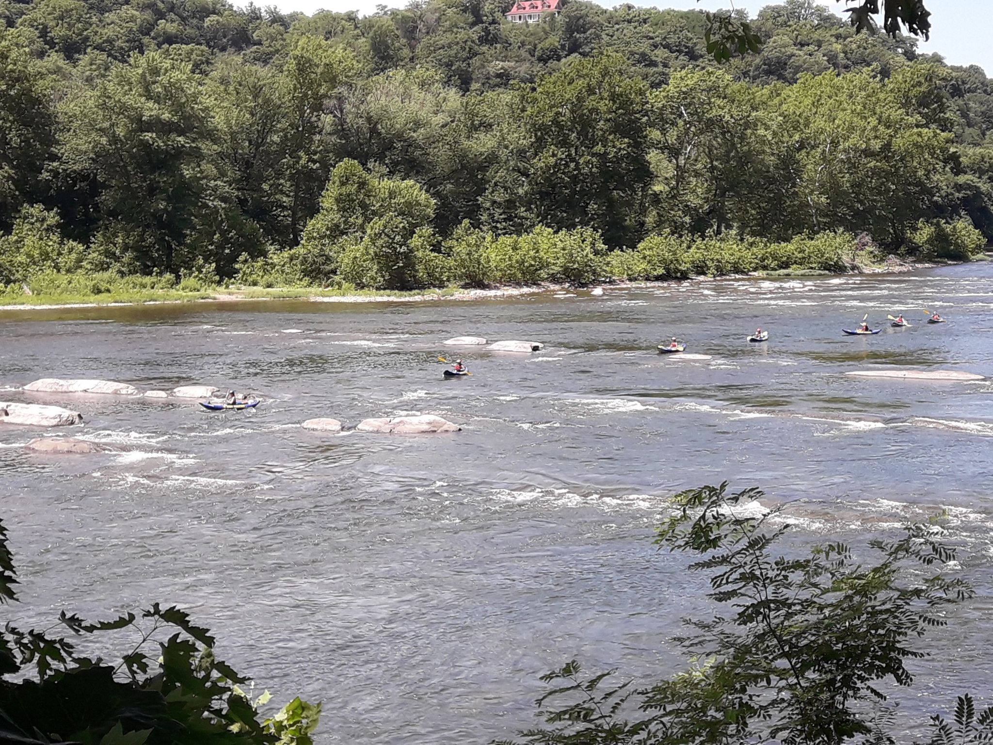Kayakers navigate a wide river with rapids, surrounded by green trees. - Hiking loop from Harpers Ferry