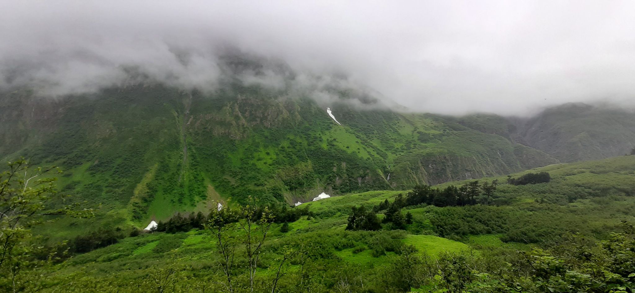 Lush green mountainside shrouded in low clouds with small waterfalls and snow patches. - Lost Lake Winter Route and Clemens Cabin Access Trail