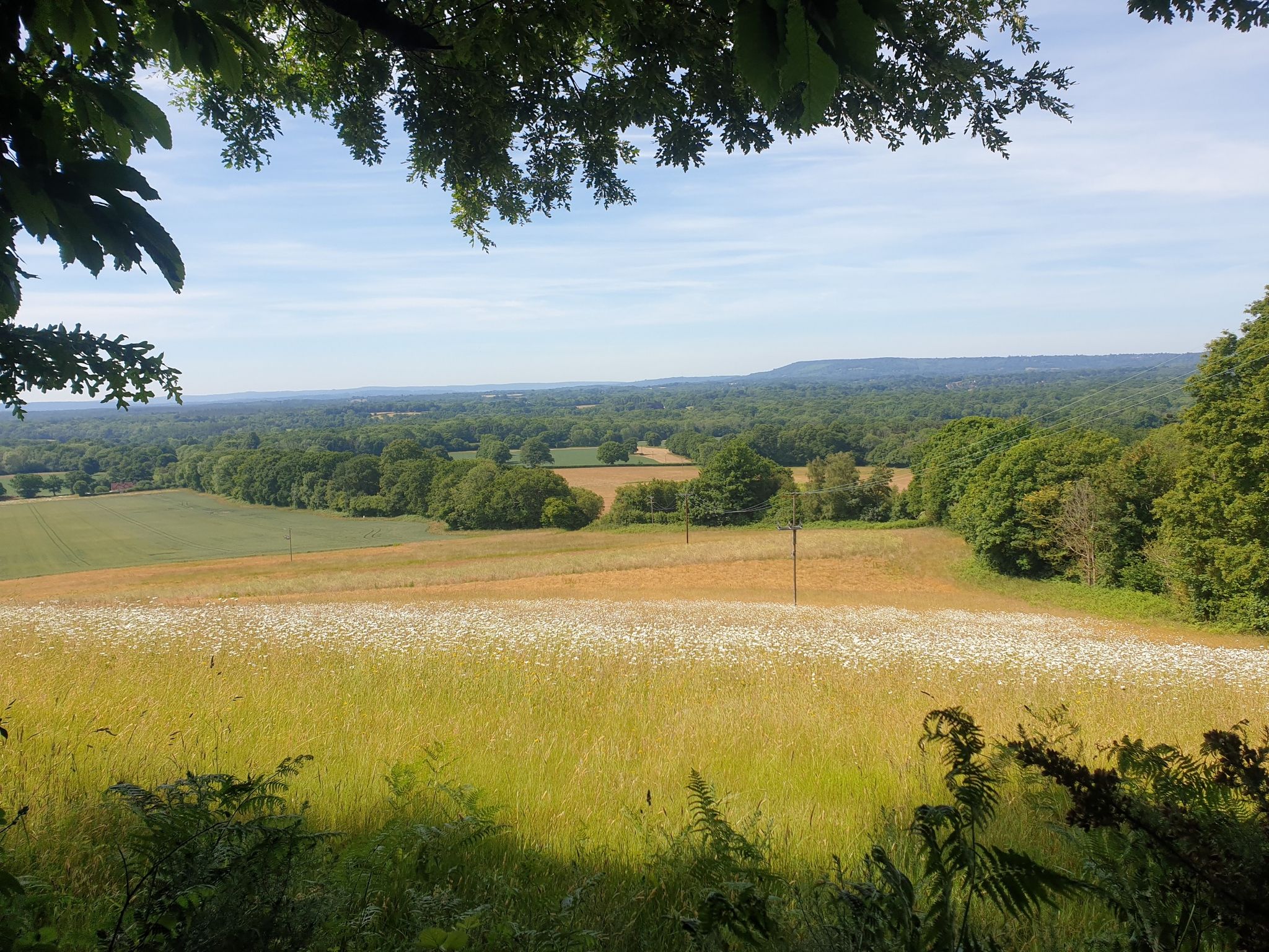 Blackdown in the distance