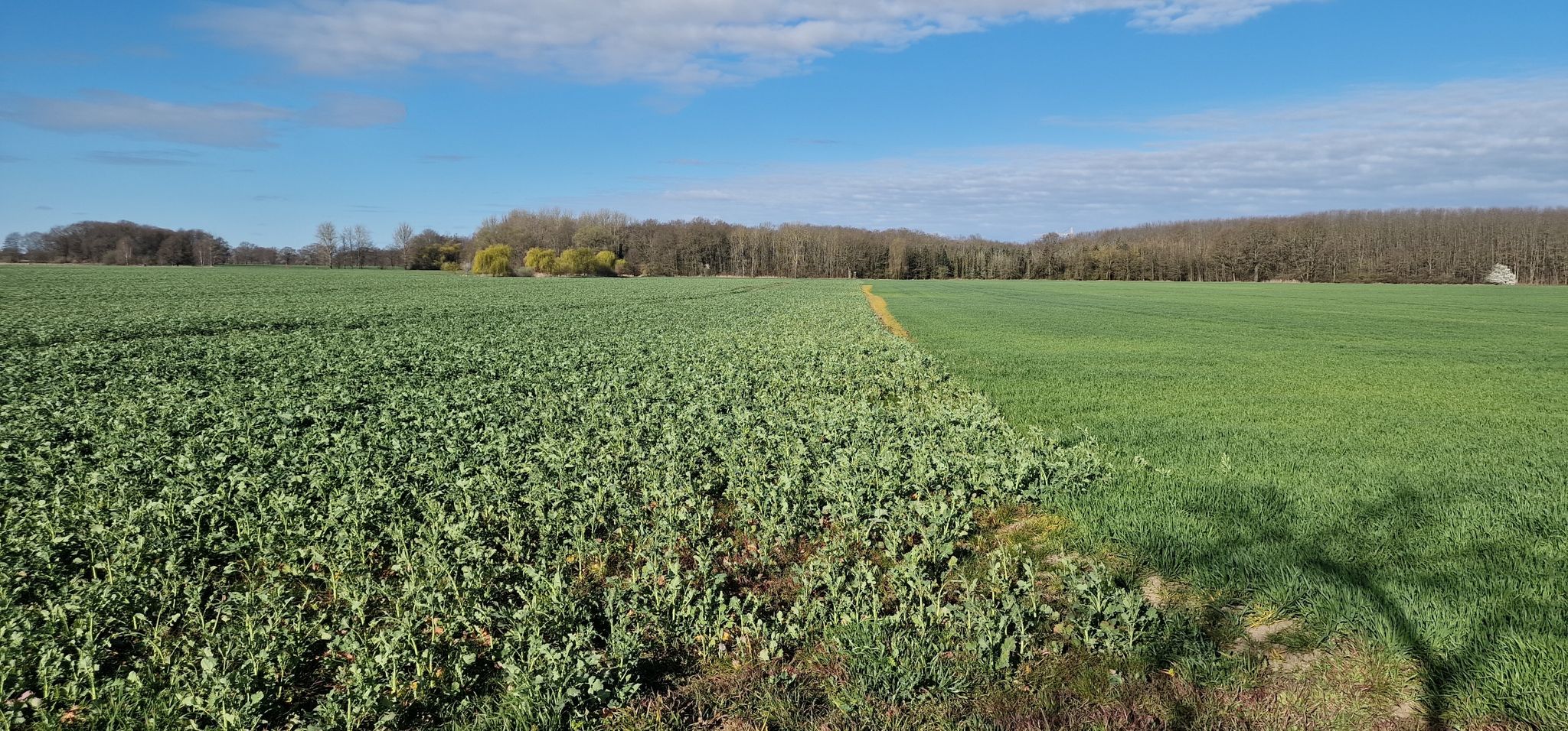 Am Radweg zwischen Zweenfurth und Beucha