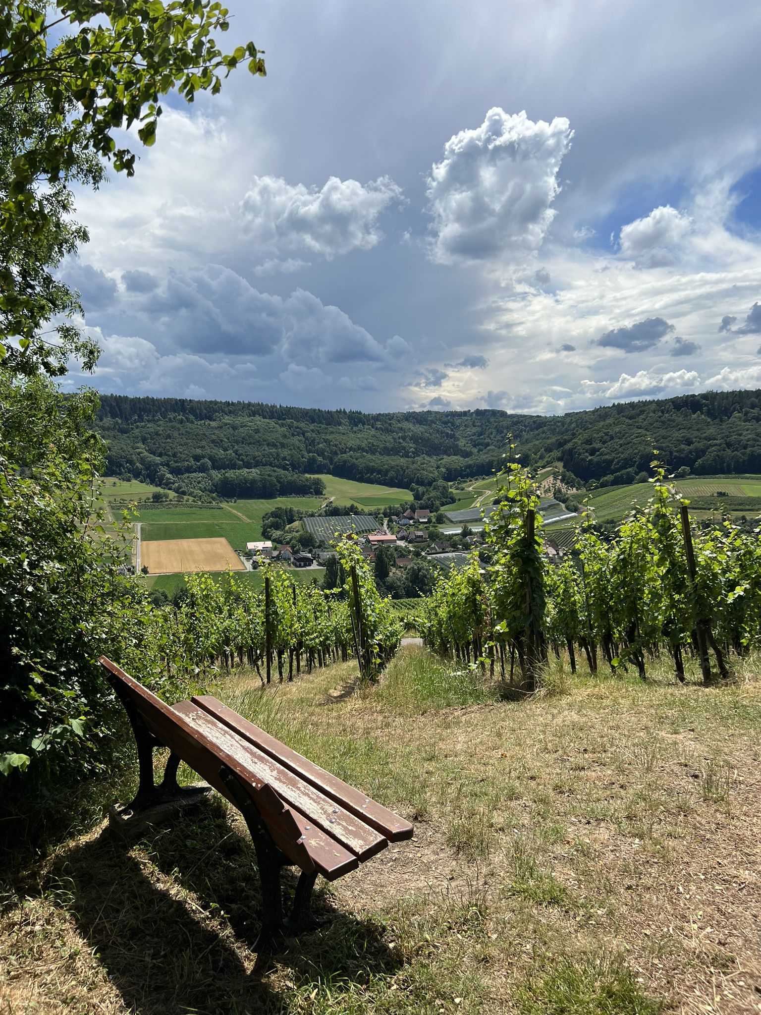 Bank mit Aussicht