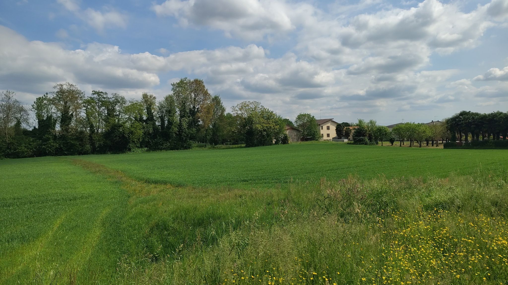 campagna lungo il sentiero degli Ezzelini - Castelfranco Veneto