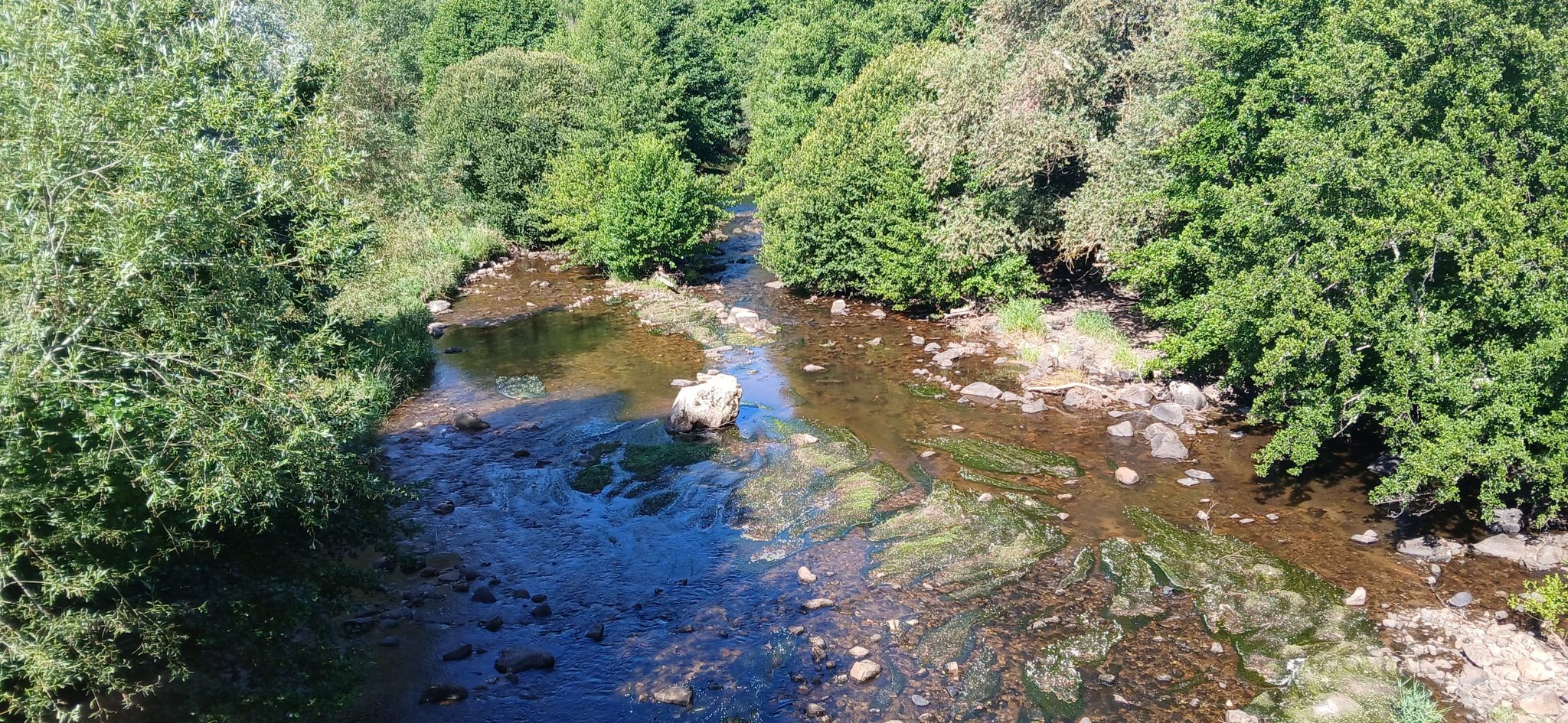 Le cher à Chambonchard.