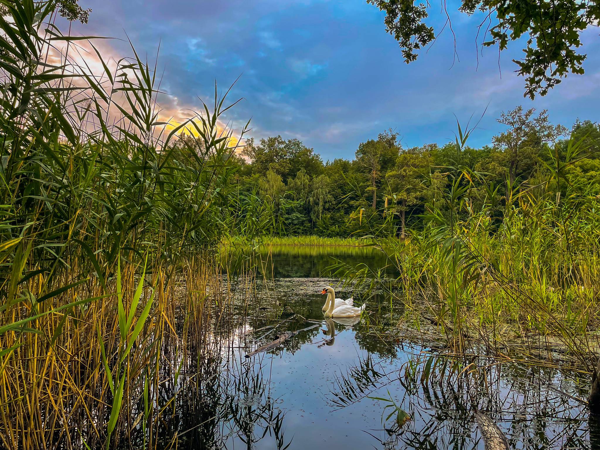 Virgin Lake in Wroclaw