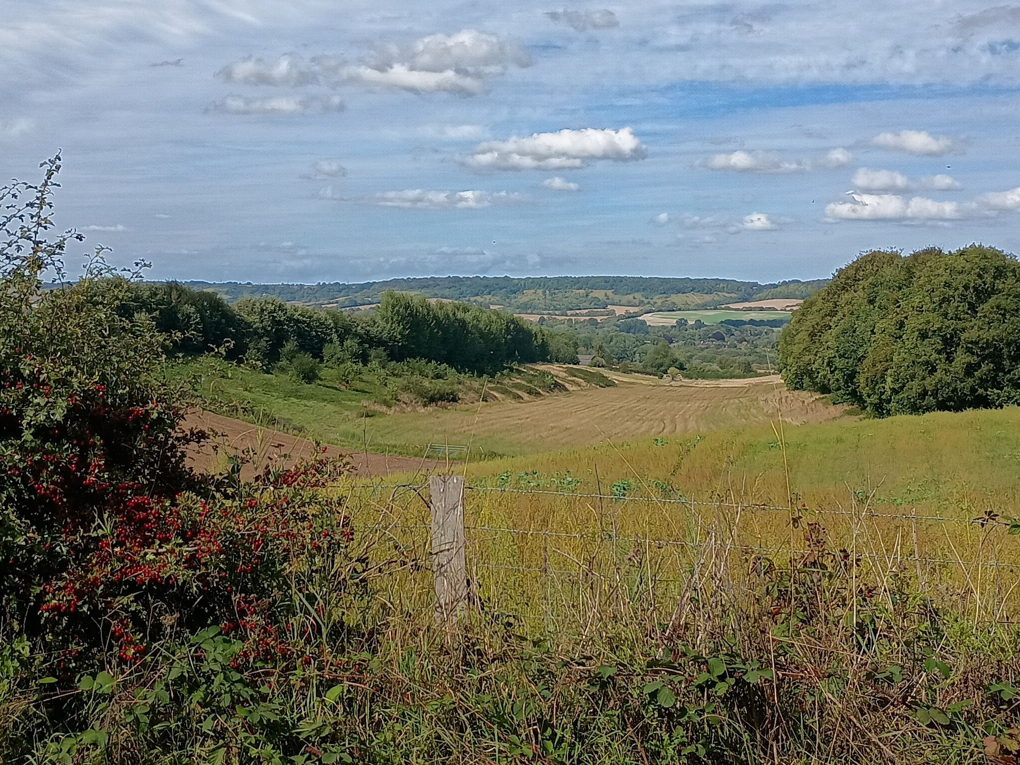 lovely view