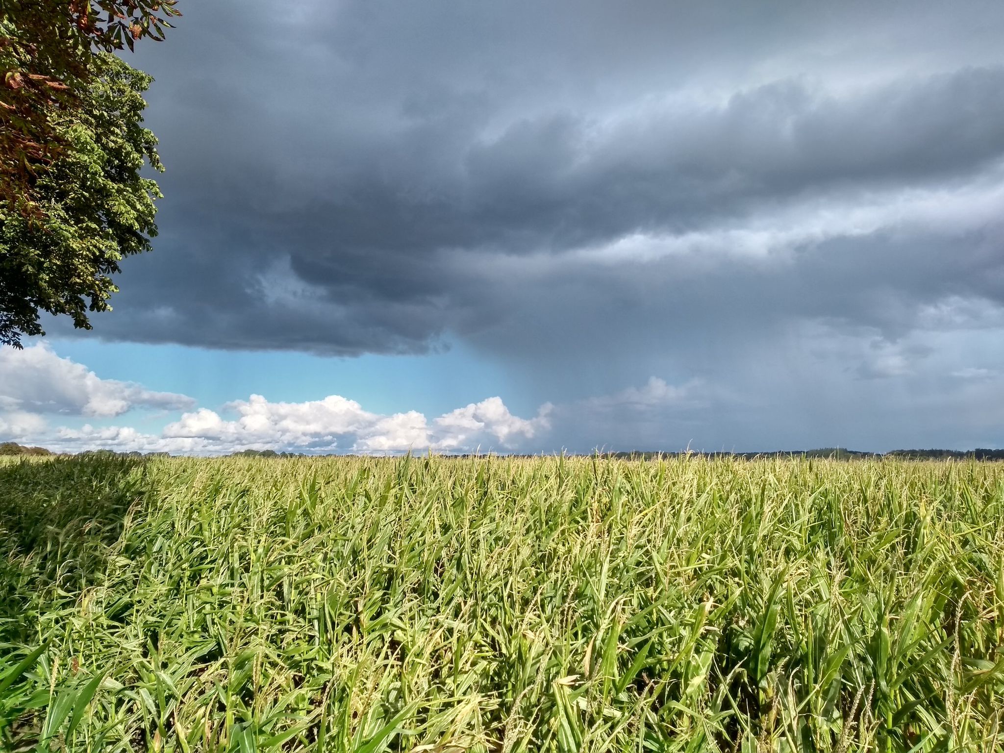 Heute war regelrechtes Aprilwetter....